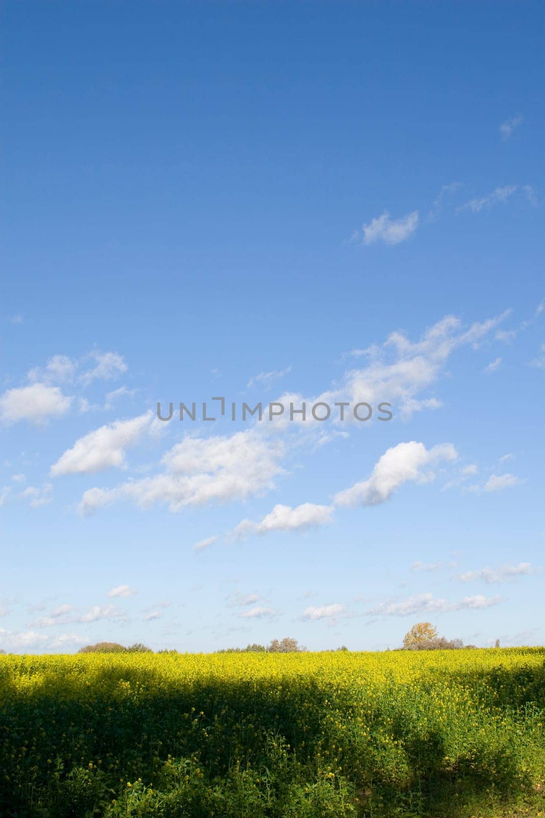 Wide horizon