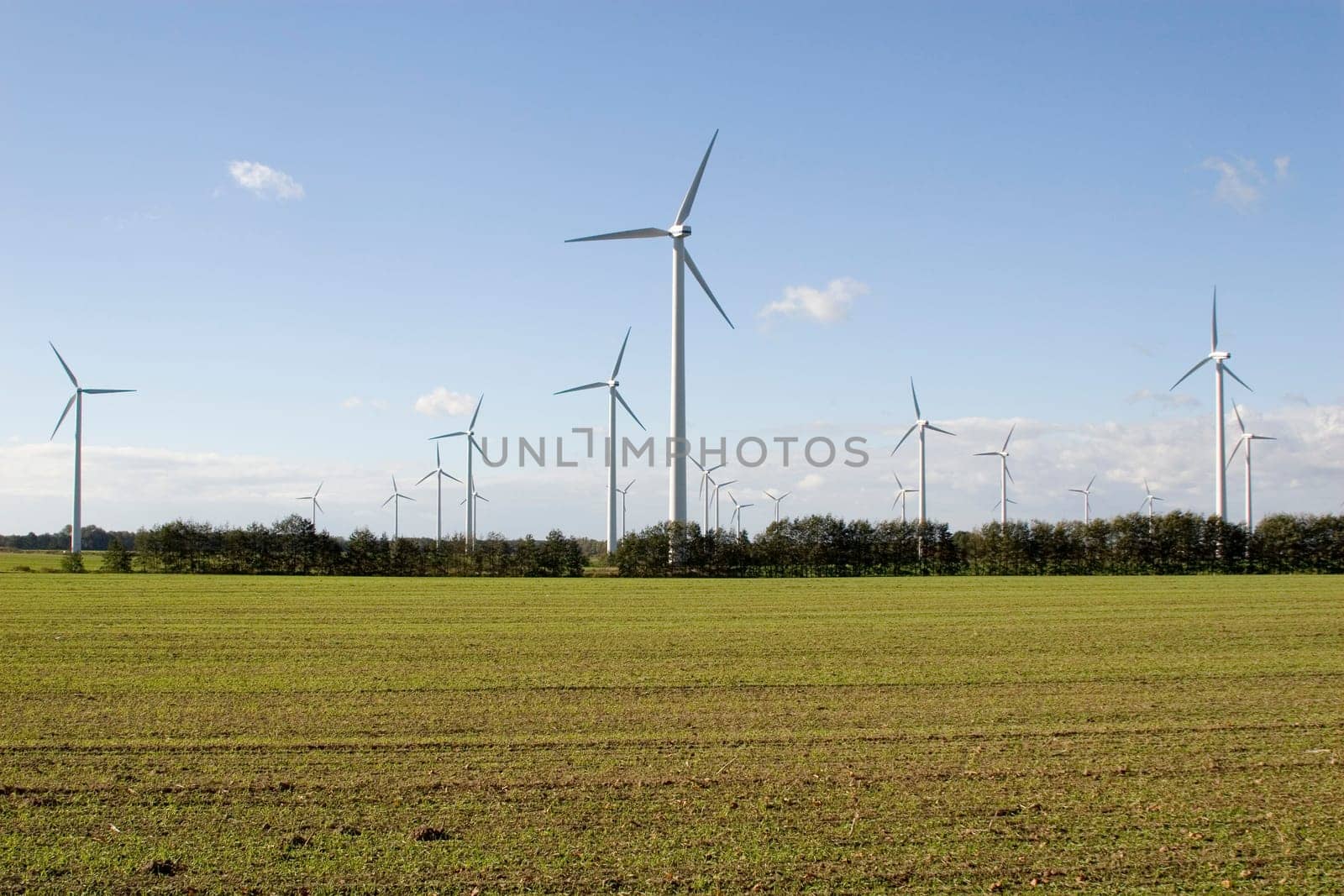 Rotors in the field