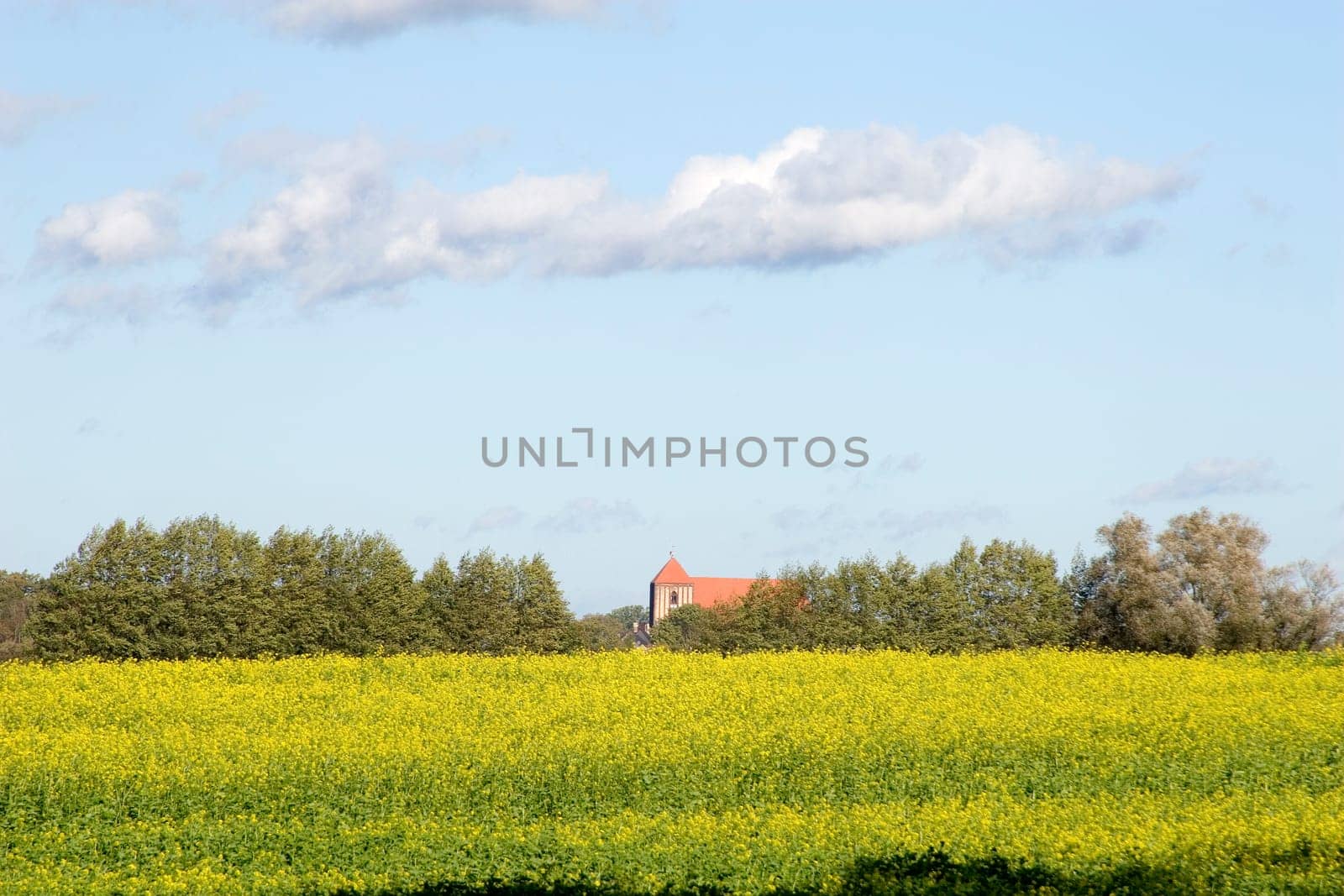 Country Church