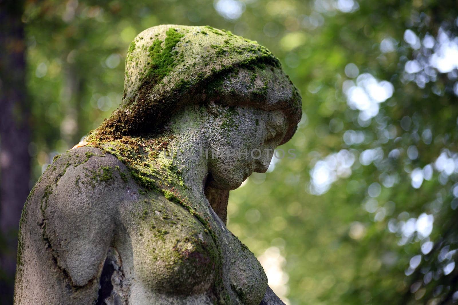 In an old cemetery