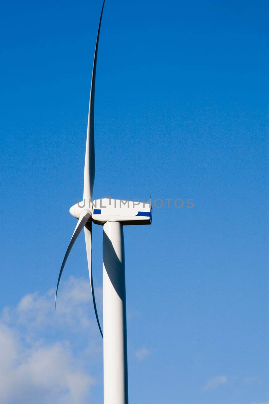 Wind rotor