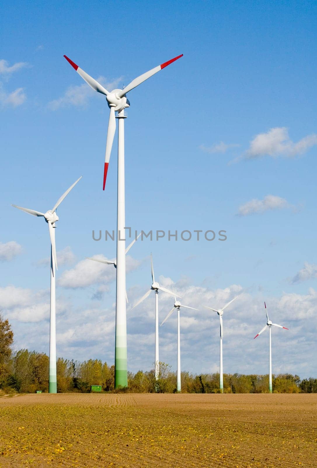 Wind turbines in the field