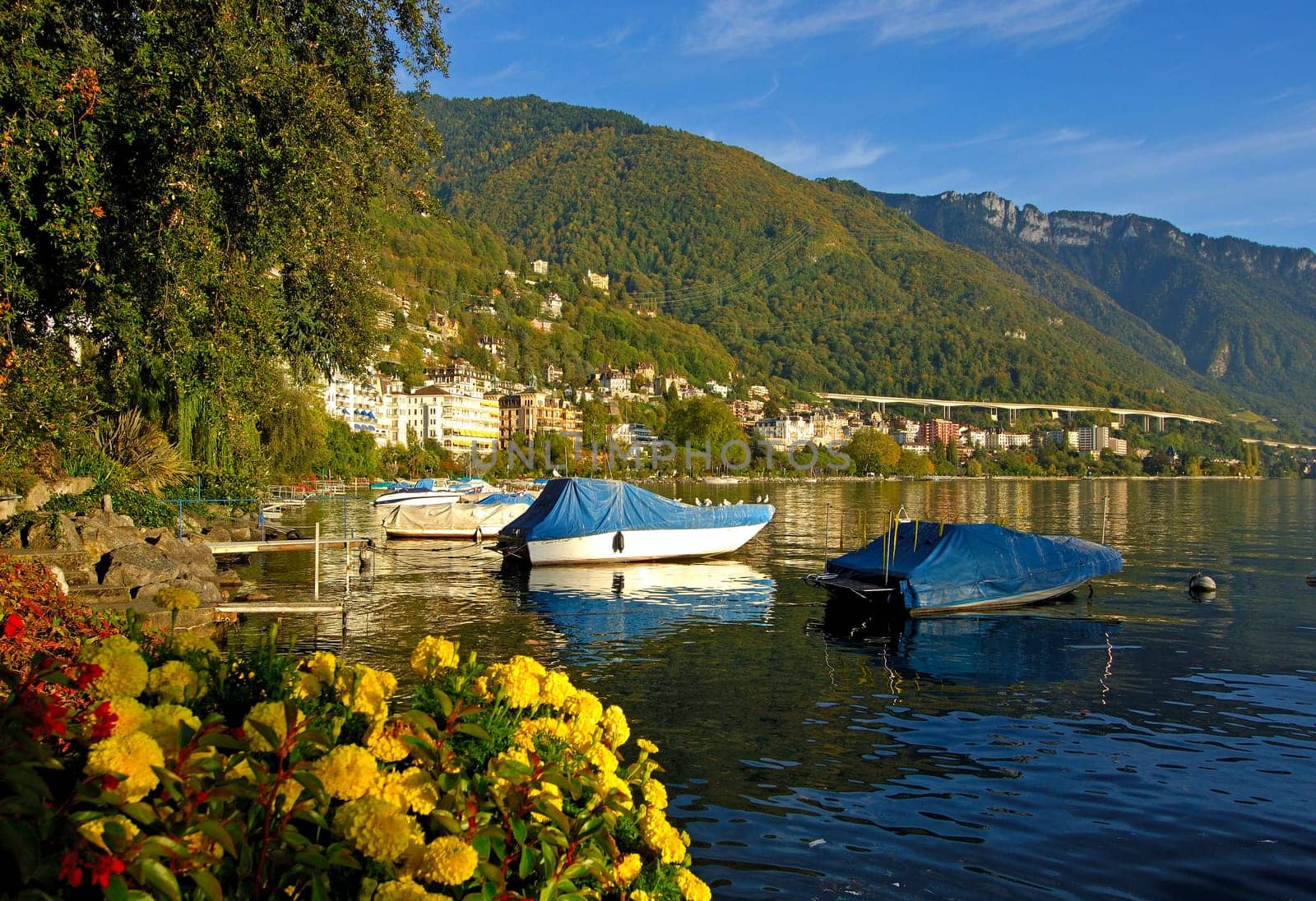 Herbst am See, Montreux, Schweiz