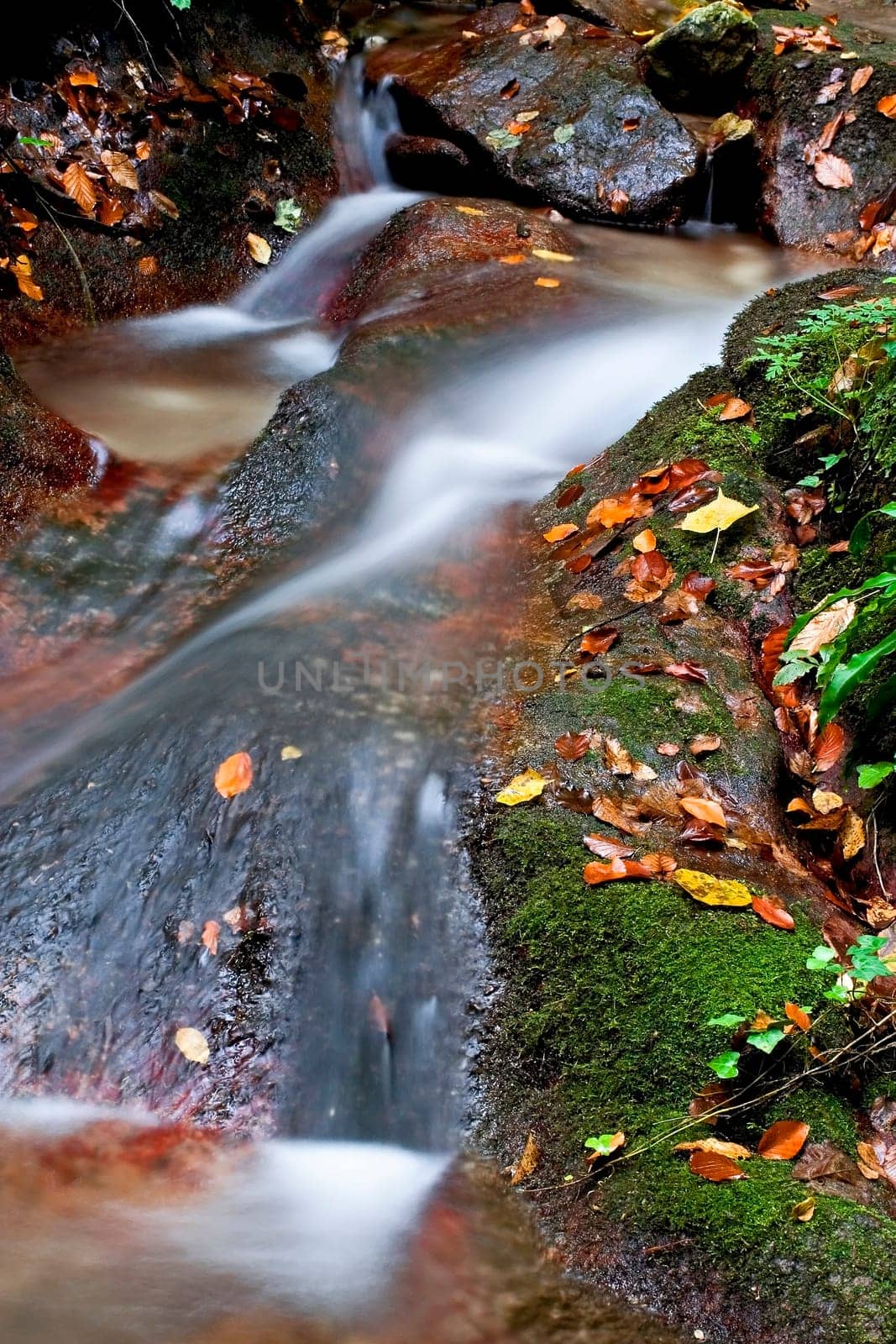 Stream