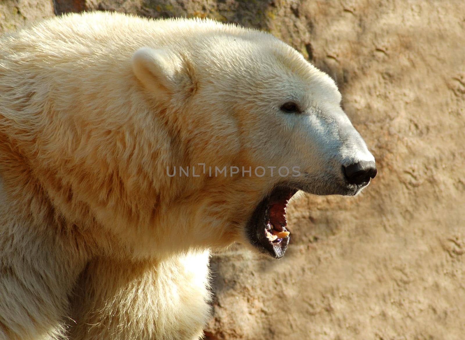 That's pretty much how I feel today.....!:-)