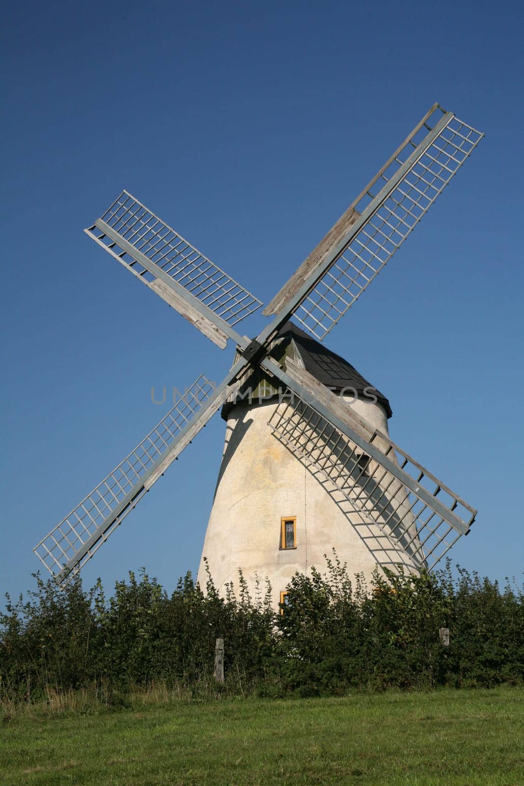 Historic cap windmill in Kalletal-Bavenhausen (Lipperland)
