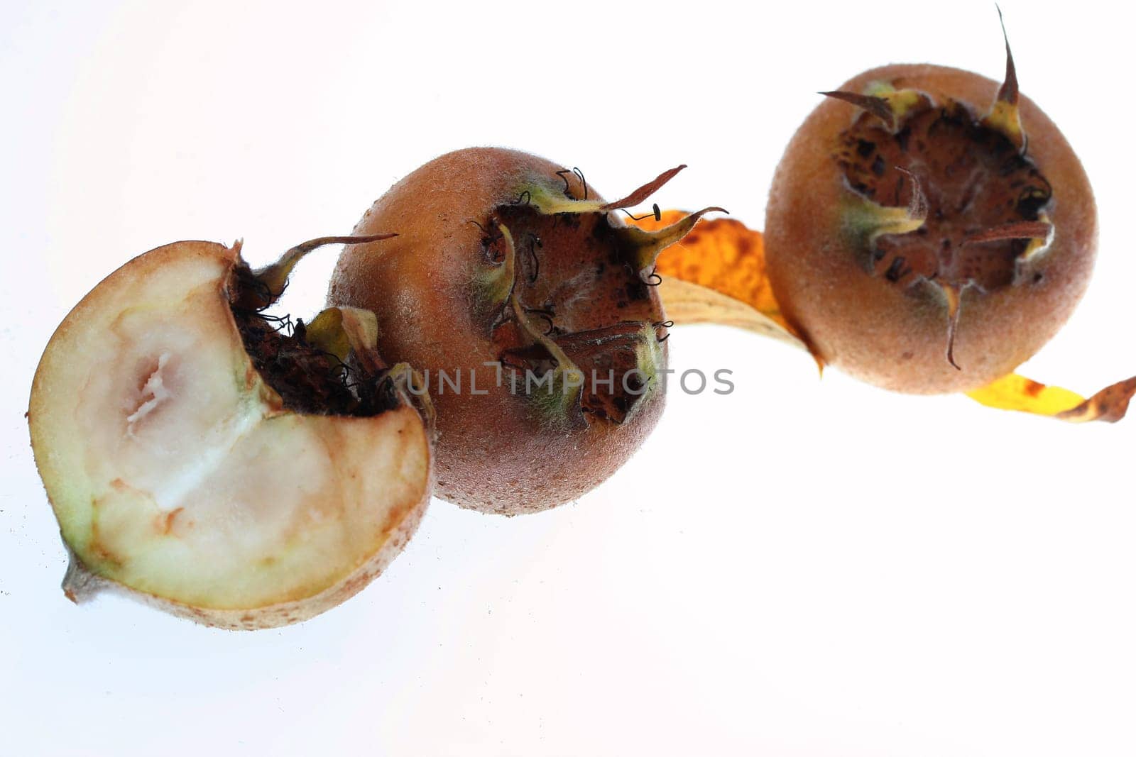 Medlars II