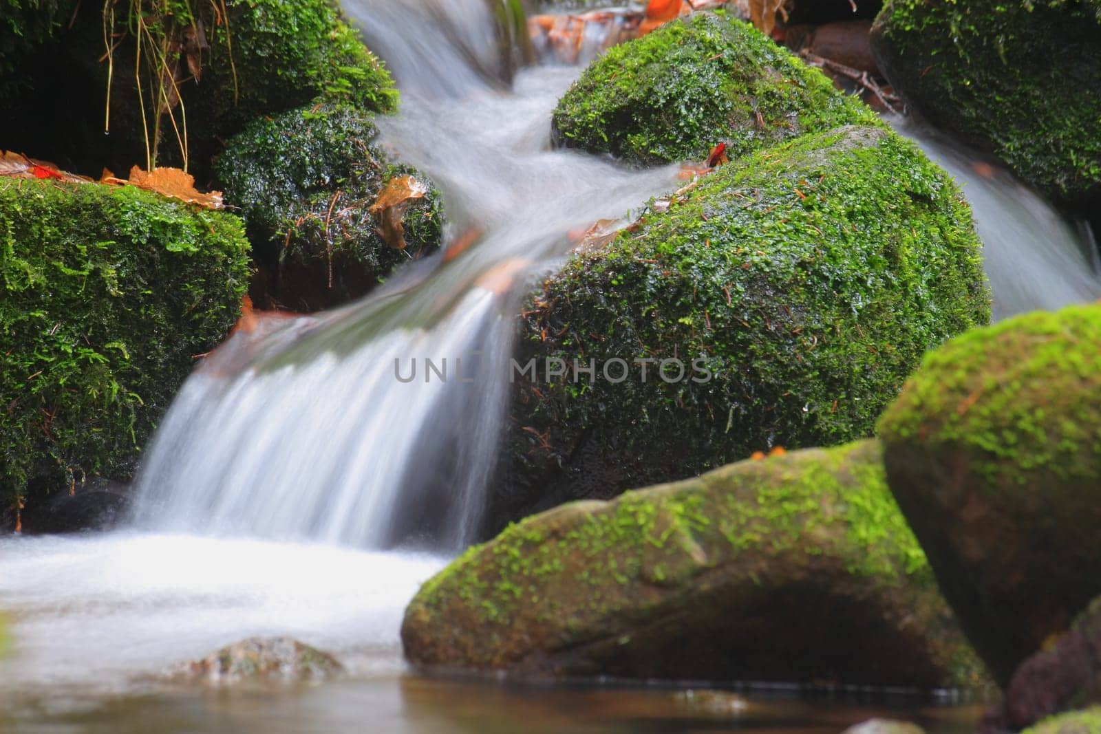 The sound of the brook