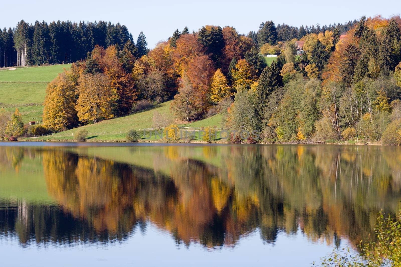 Autumnal reflection