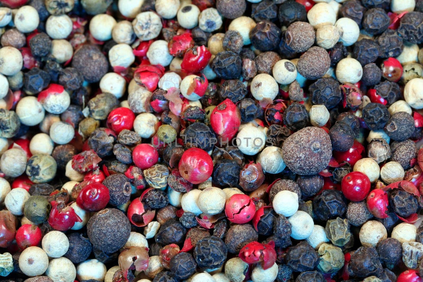 colorful pepper