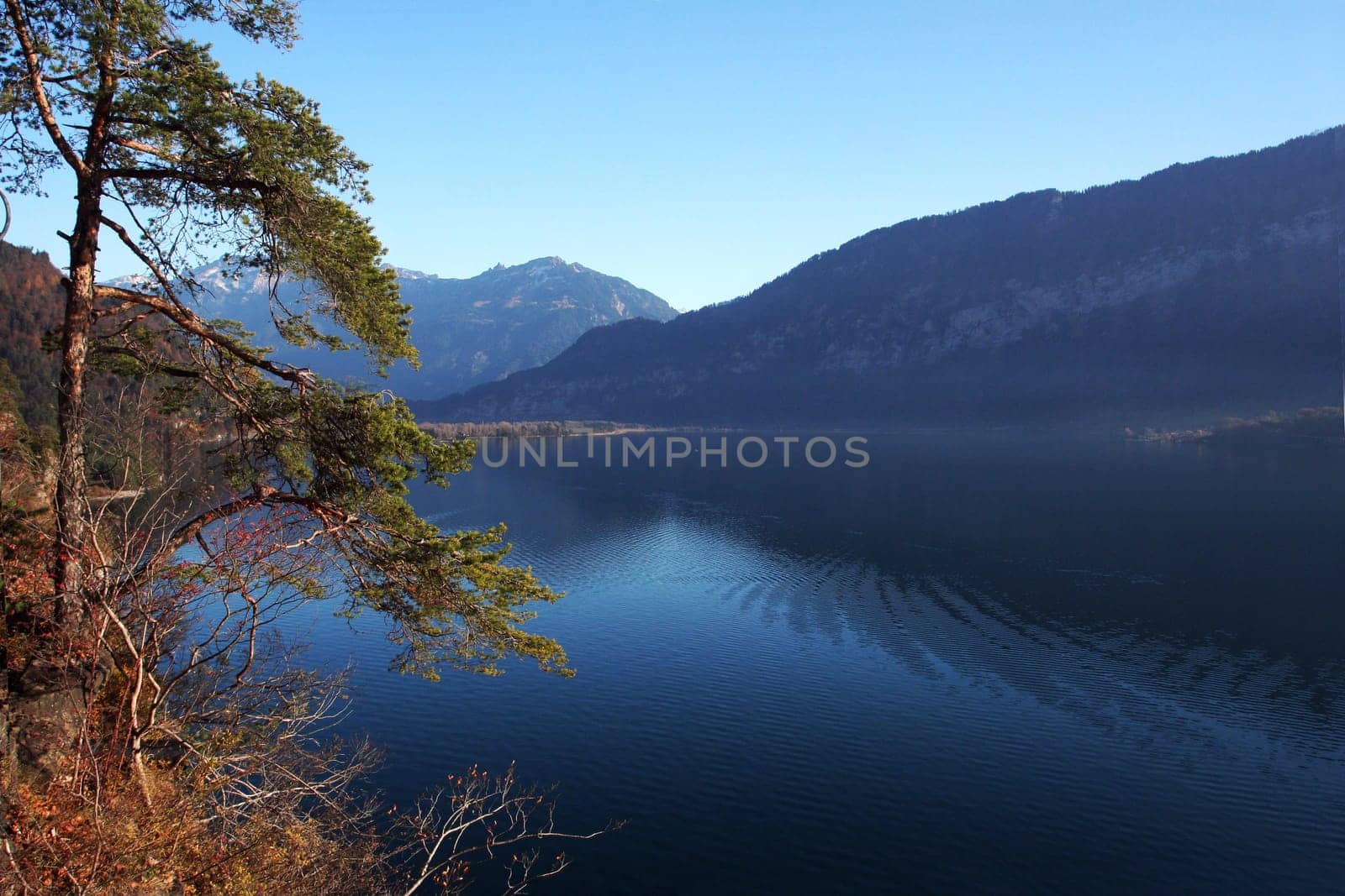 Autumn panorama Interlaken