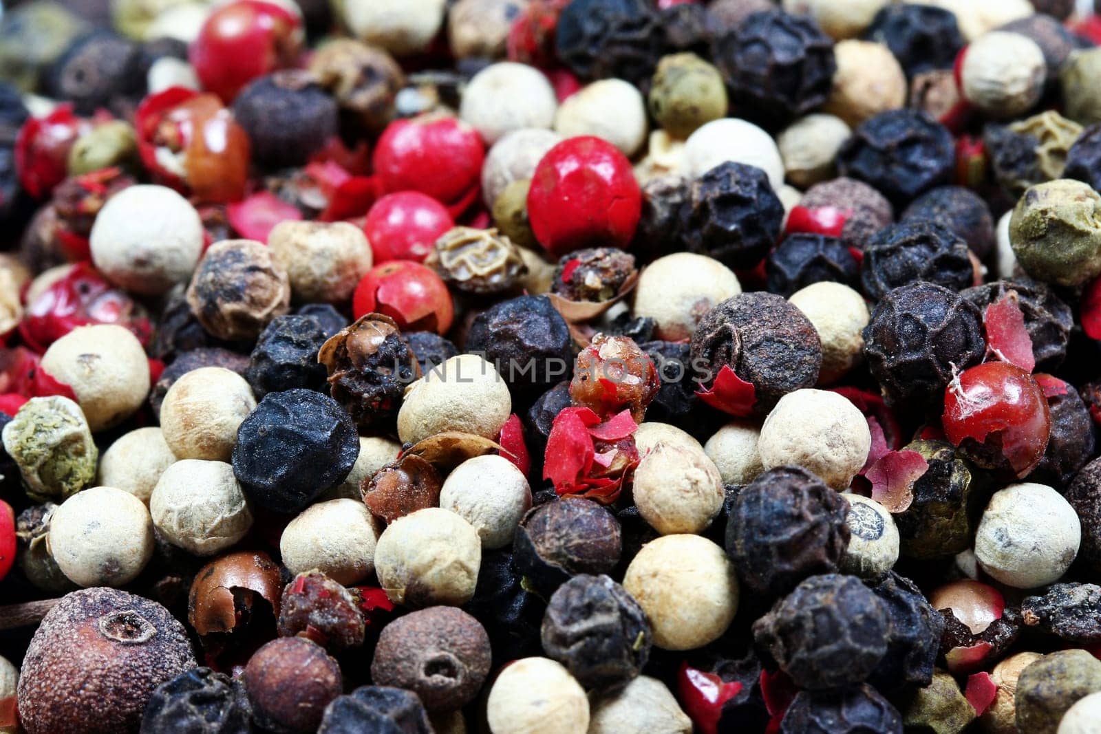 colorful pepper II
