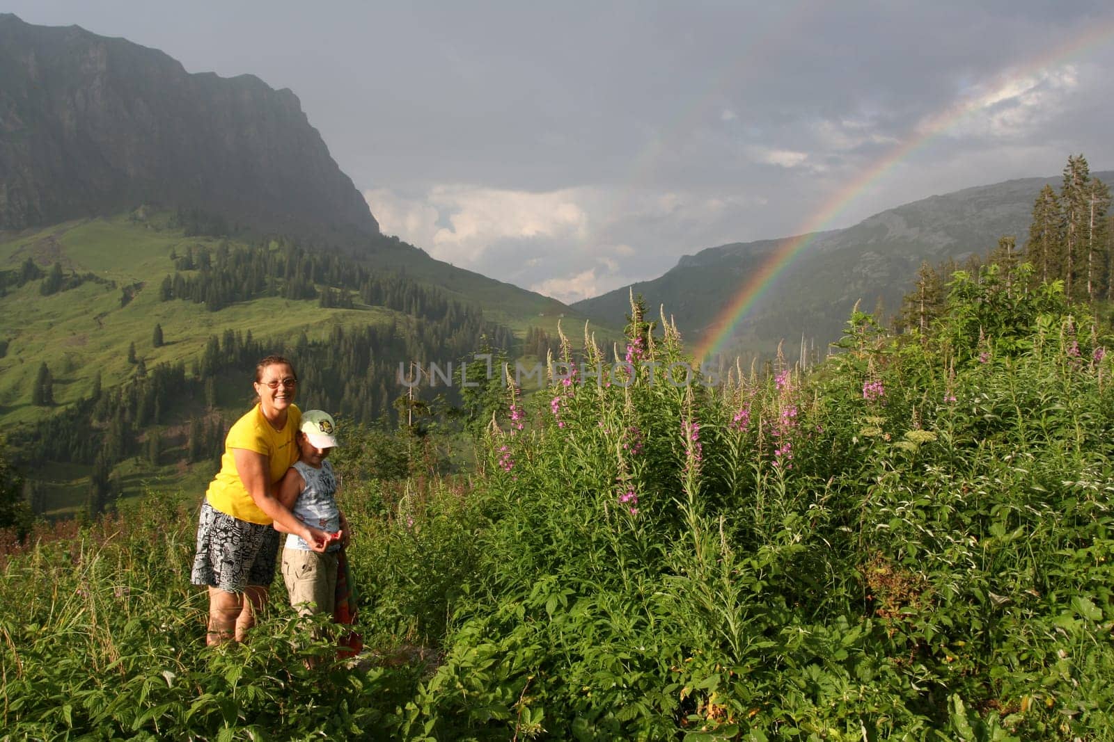 The berry to collect under rainbow
