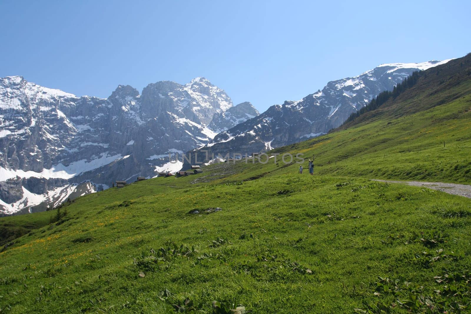 Menchen am Bergenweg