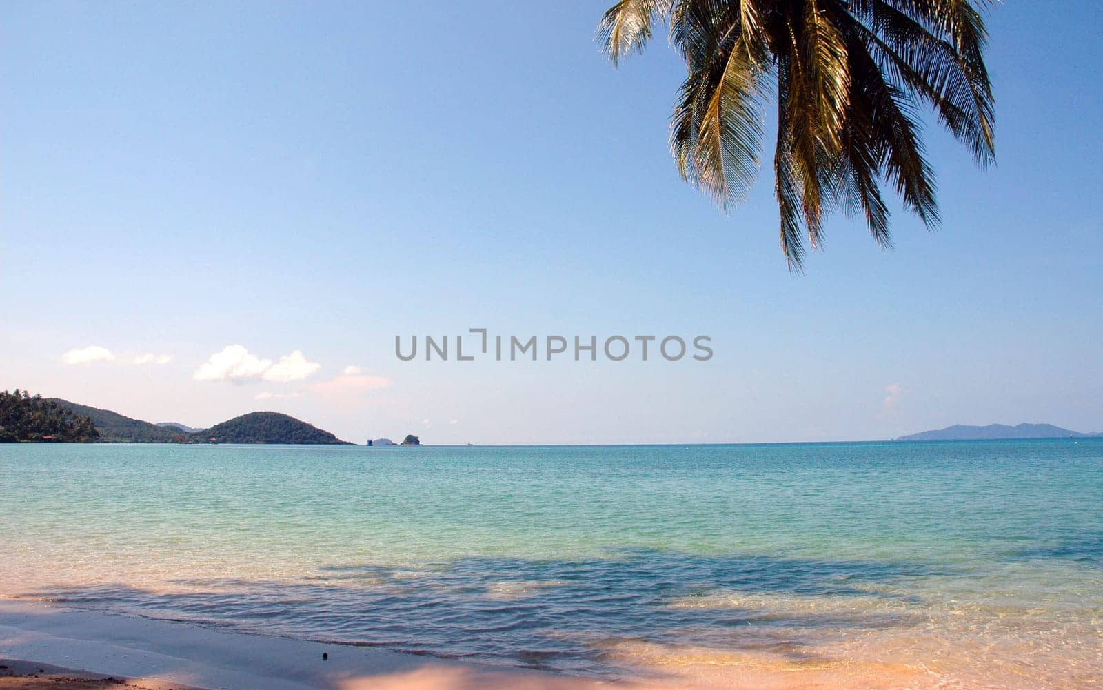 Life is a beach