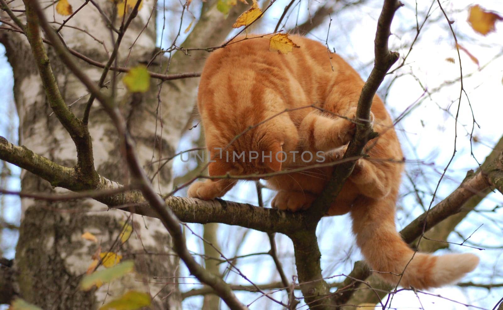 What's going on down there?