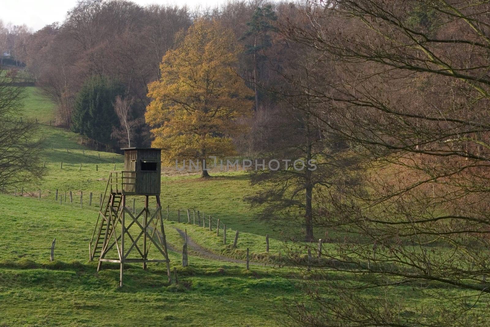 Raised hide
