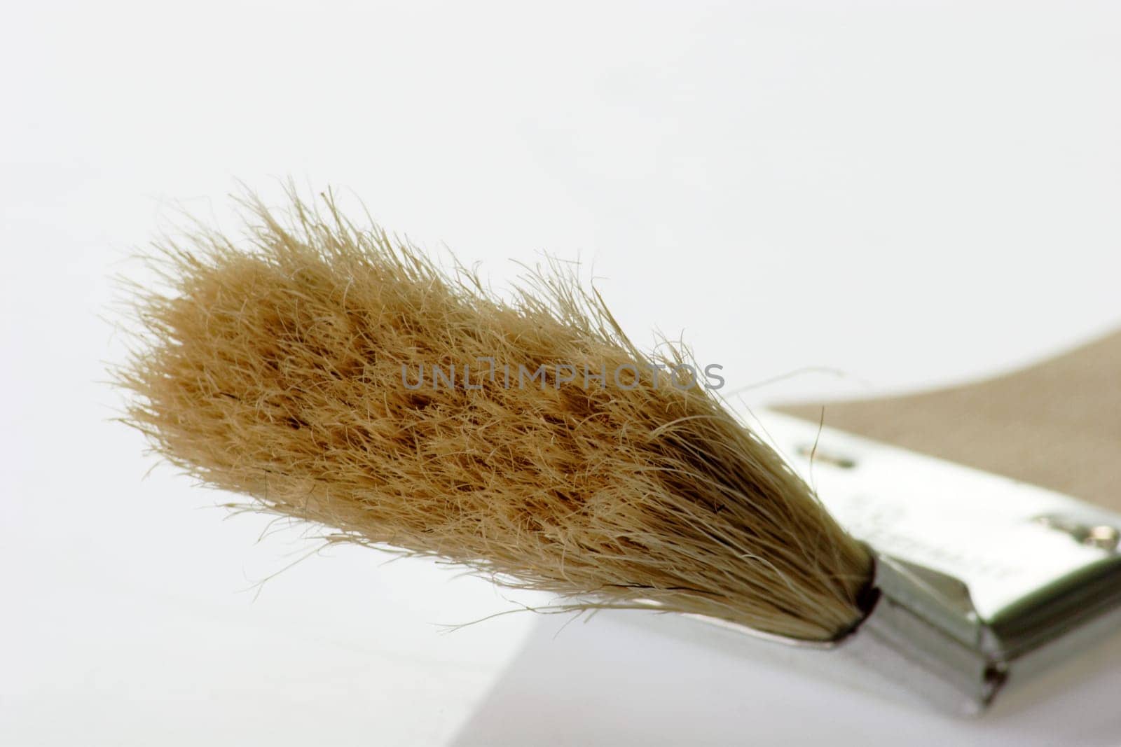 Paintbrush