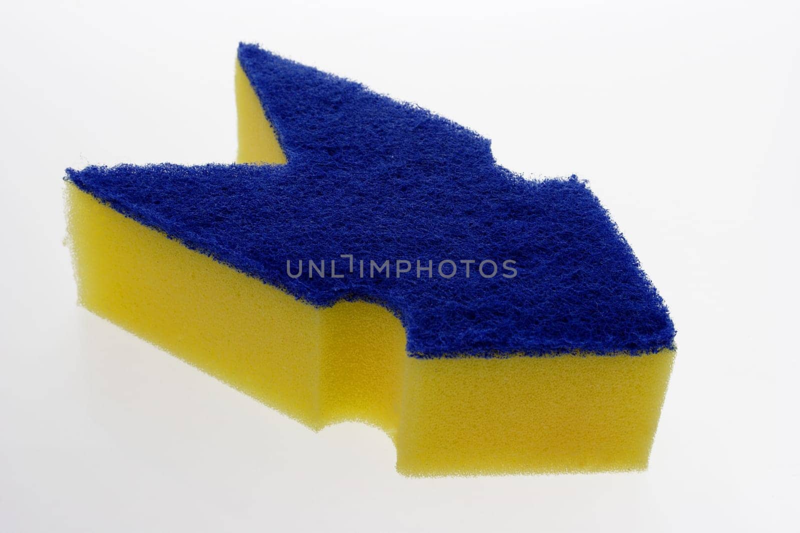 Sponge