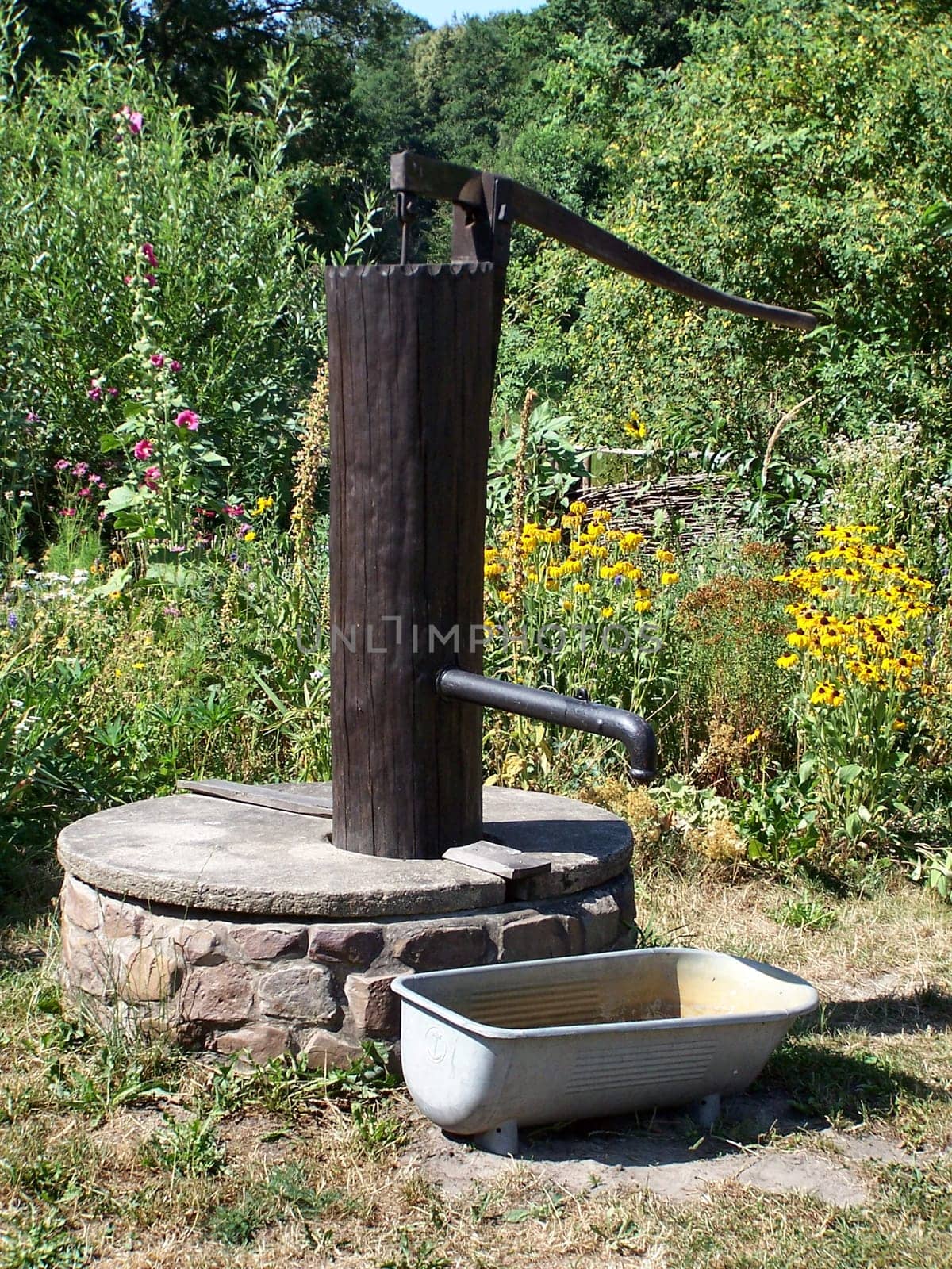 water pump