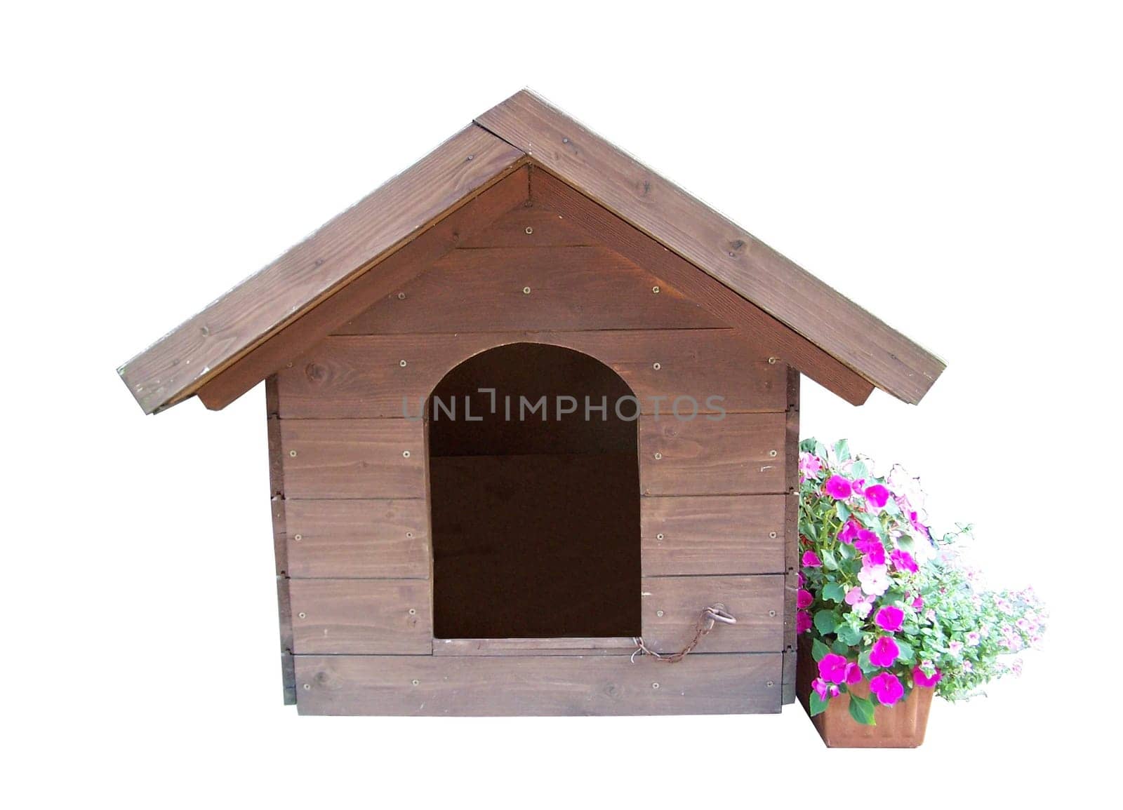 kennel