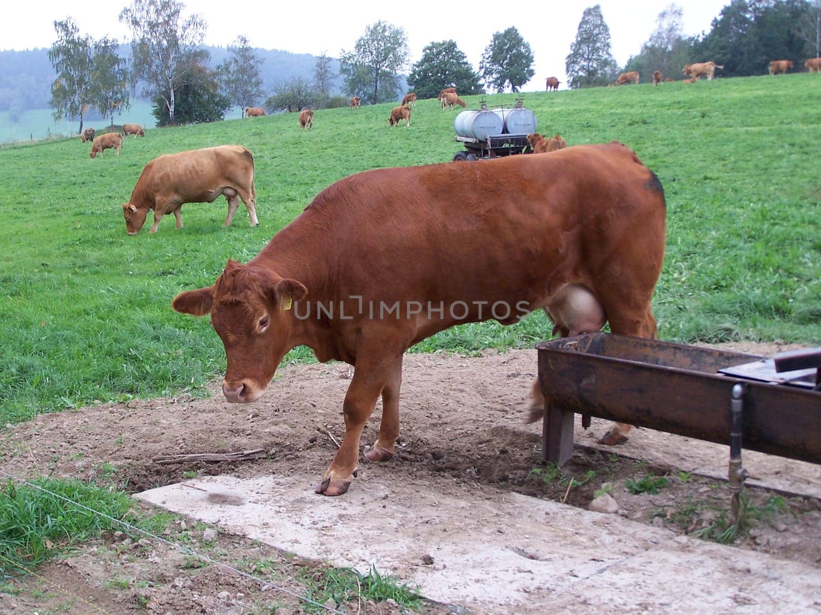 Where's the water?