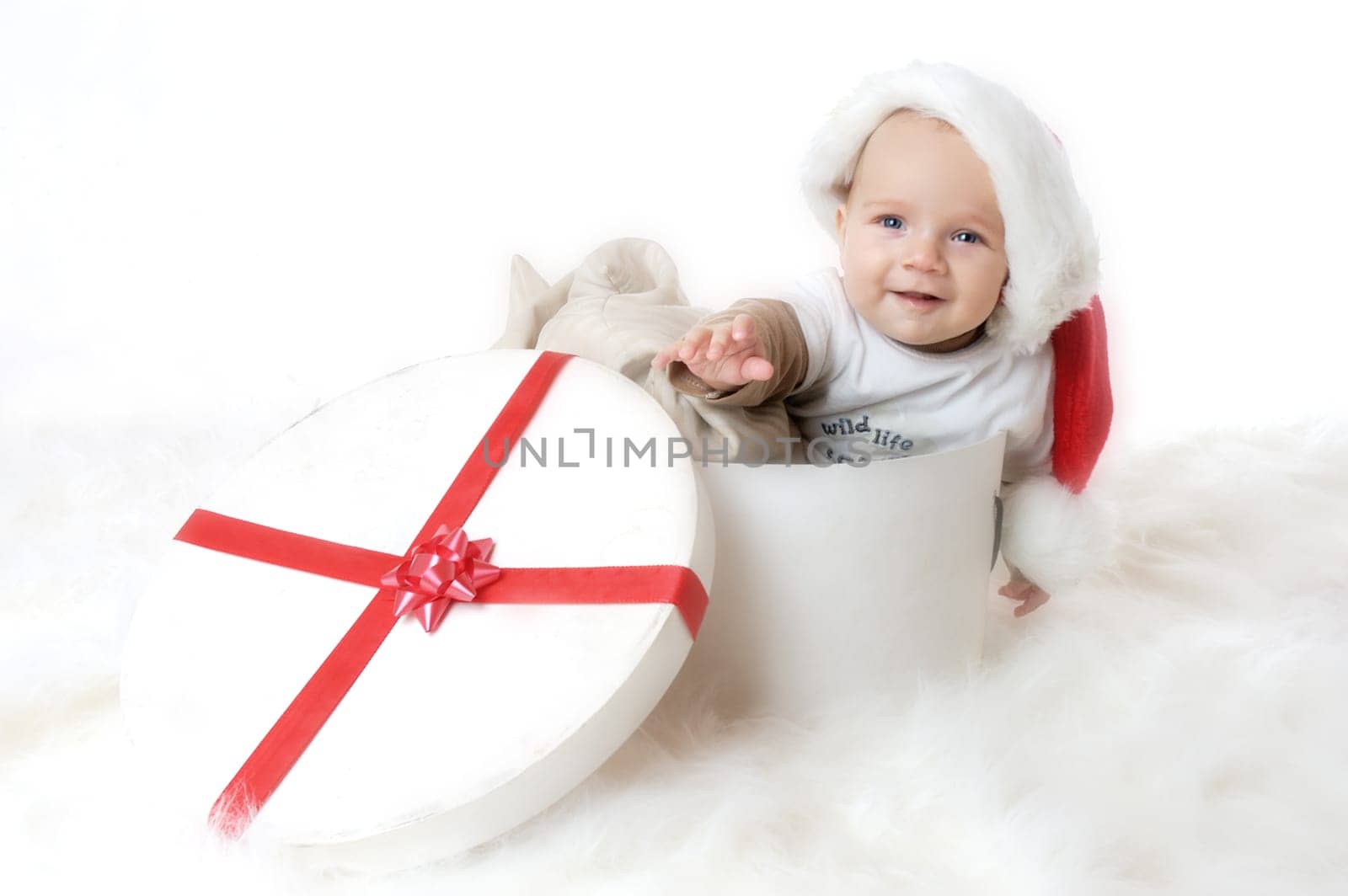 Christmas portrait