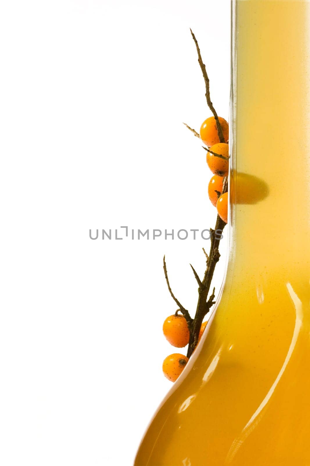 Result of my sea buckthorn picking action from series #410873