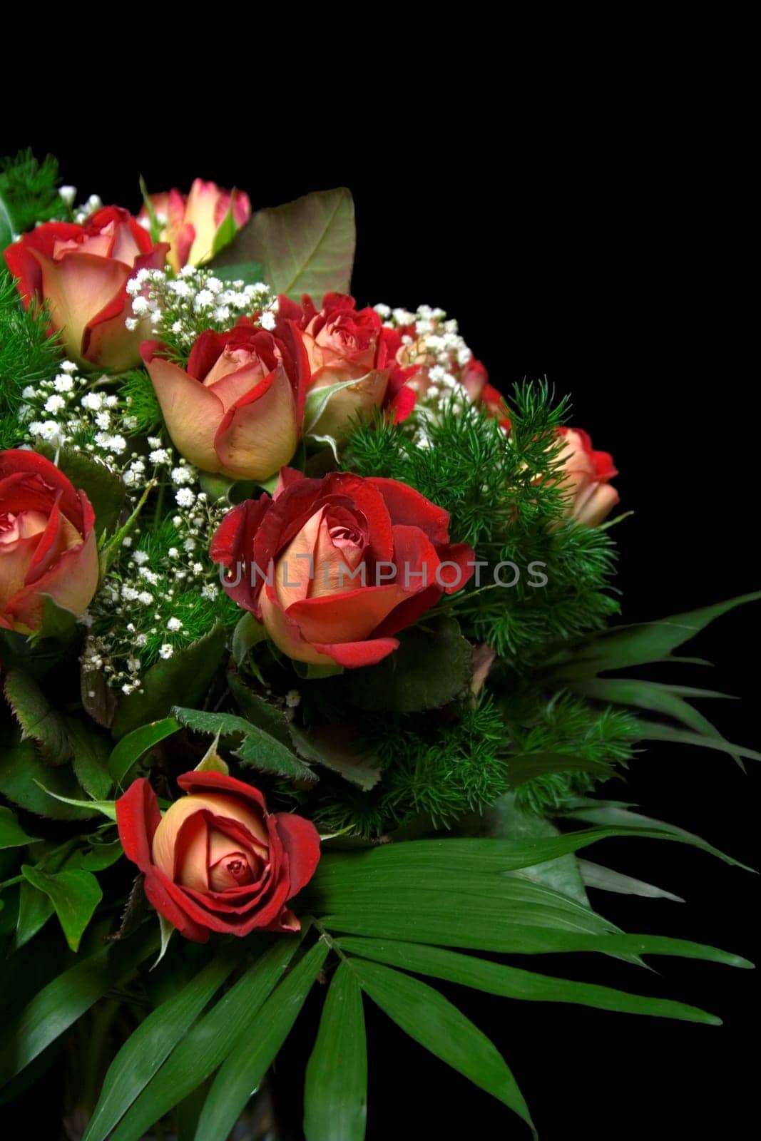 Bouquet of roses