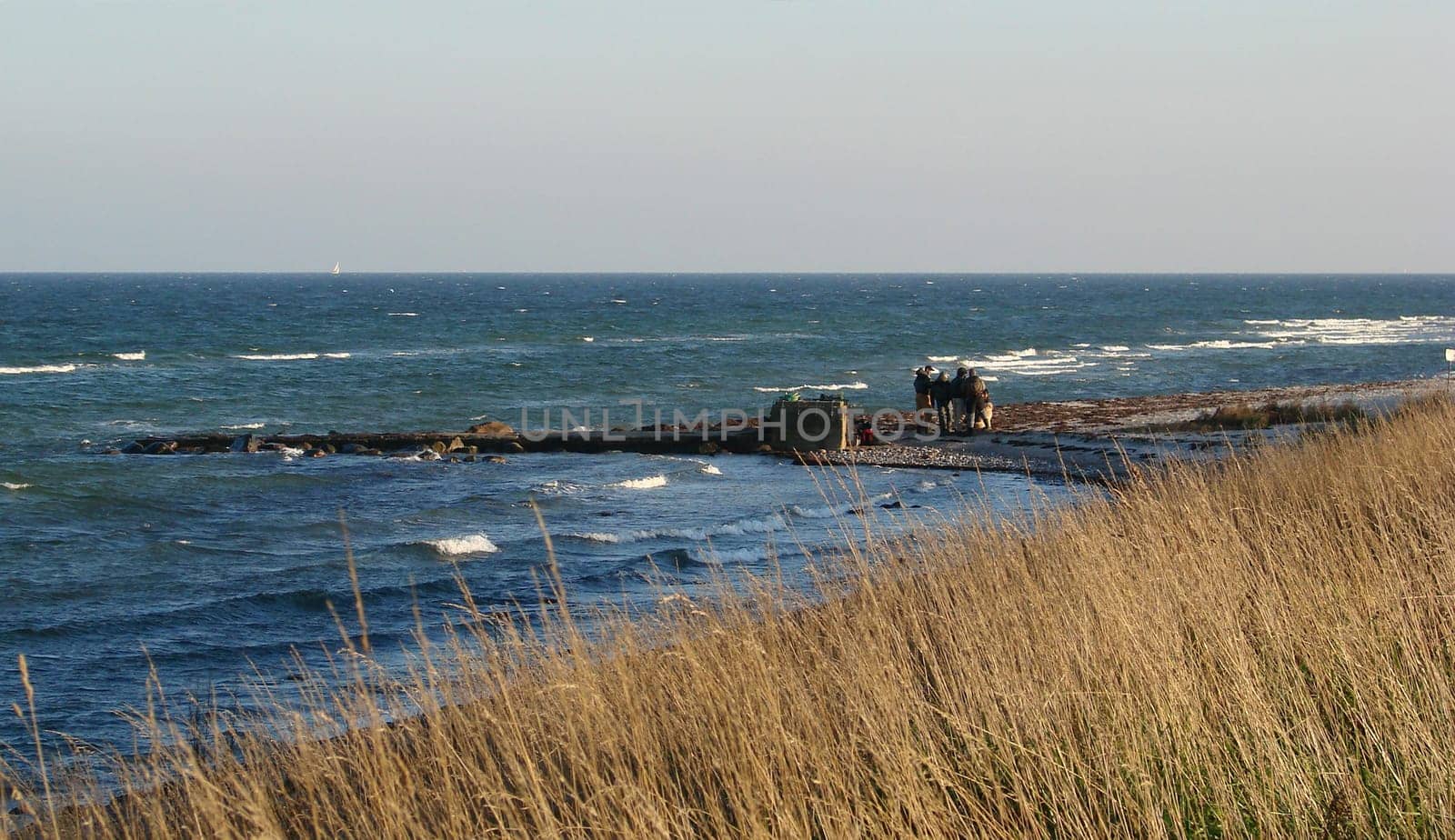 Anglers on the Baltic Sea