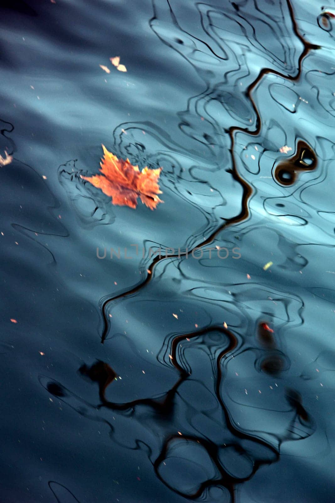 Game of the Autumn