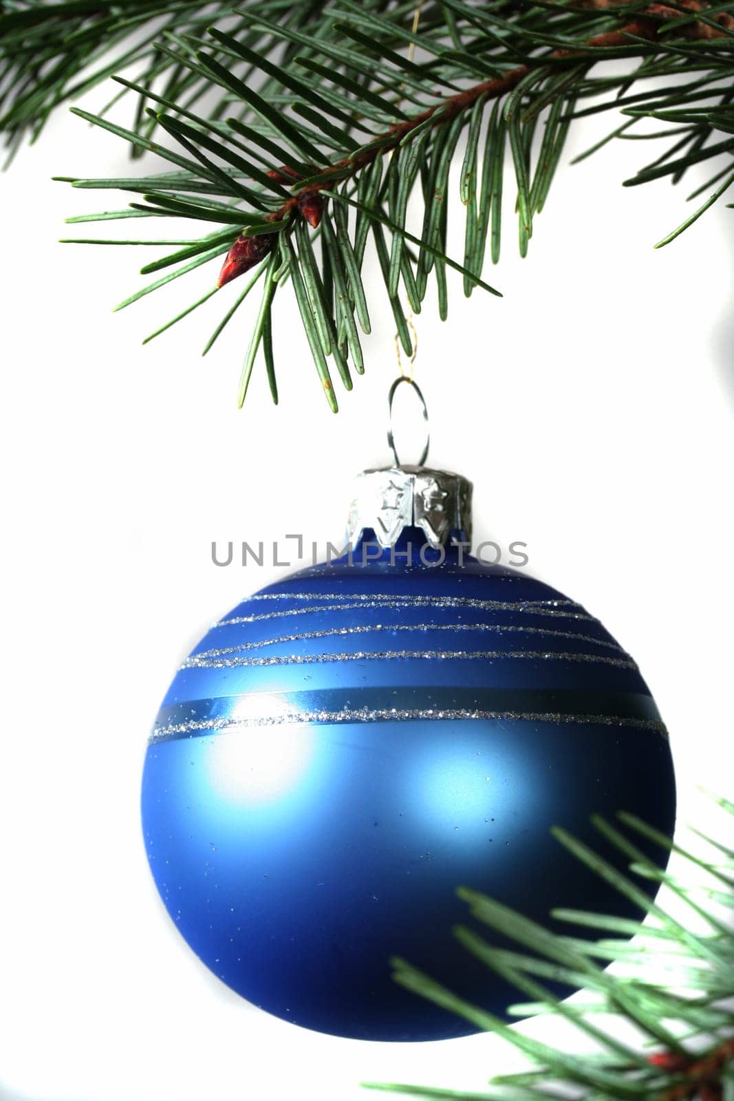 At the Christmas tree