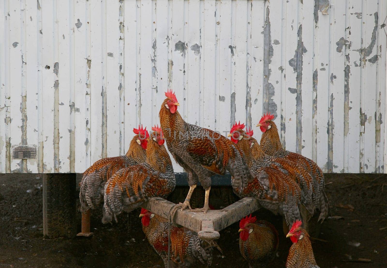 Group photo