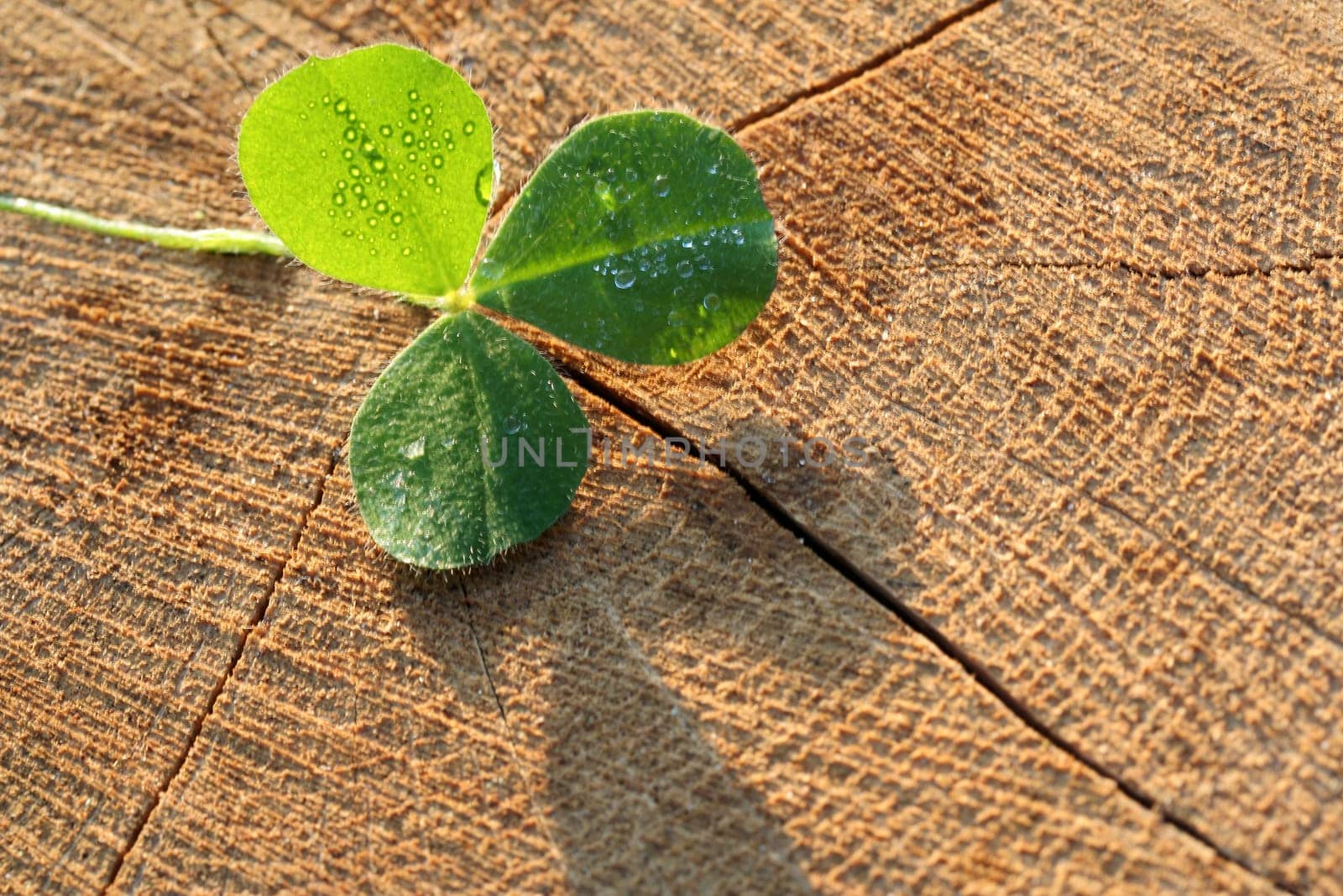 Luck