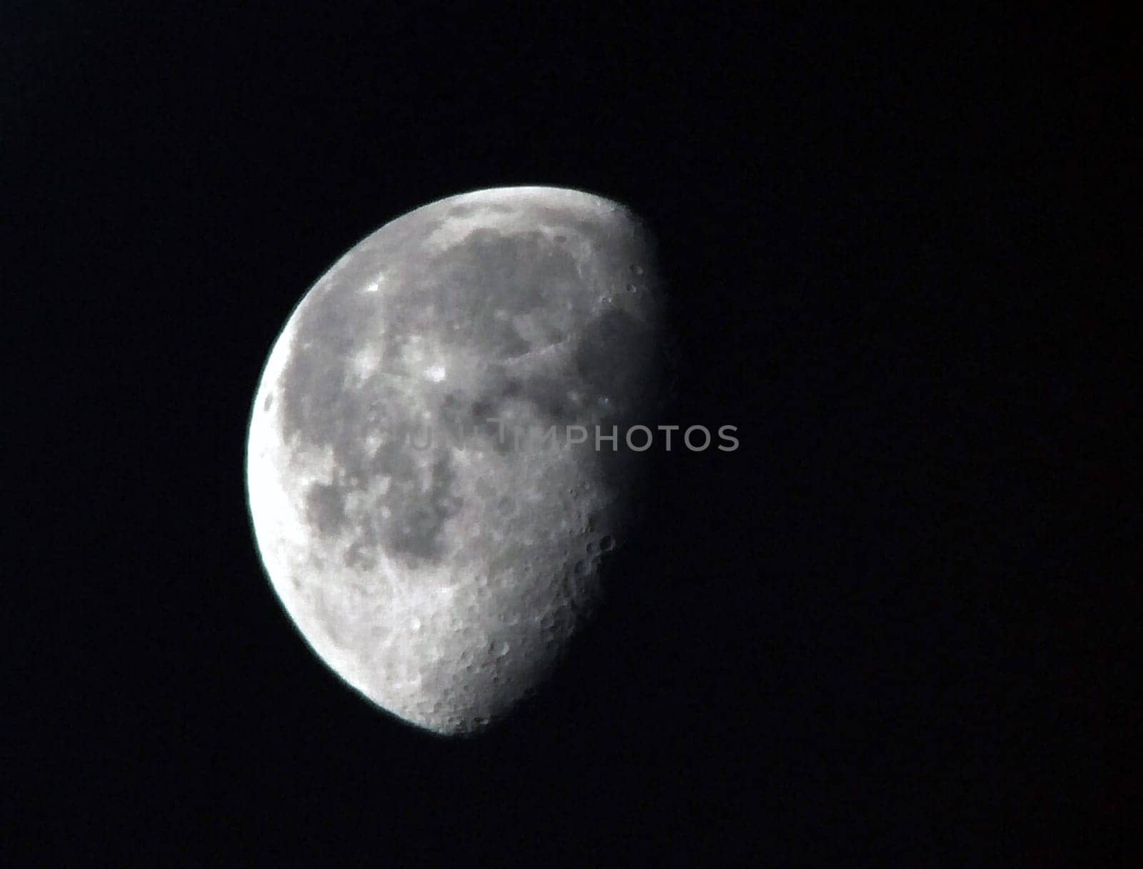 Taken this morning to test the new telephoto. By Raynox DCR2020Pro