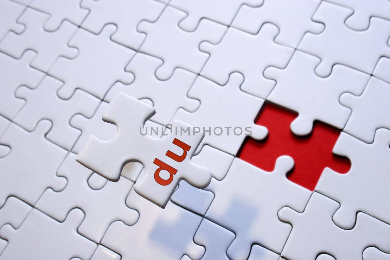 Puzzle You