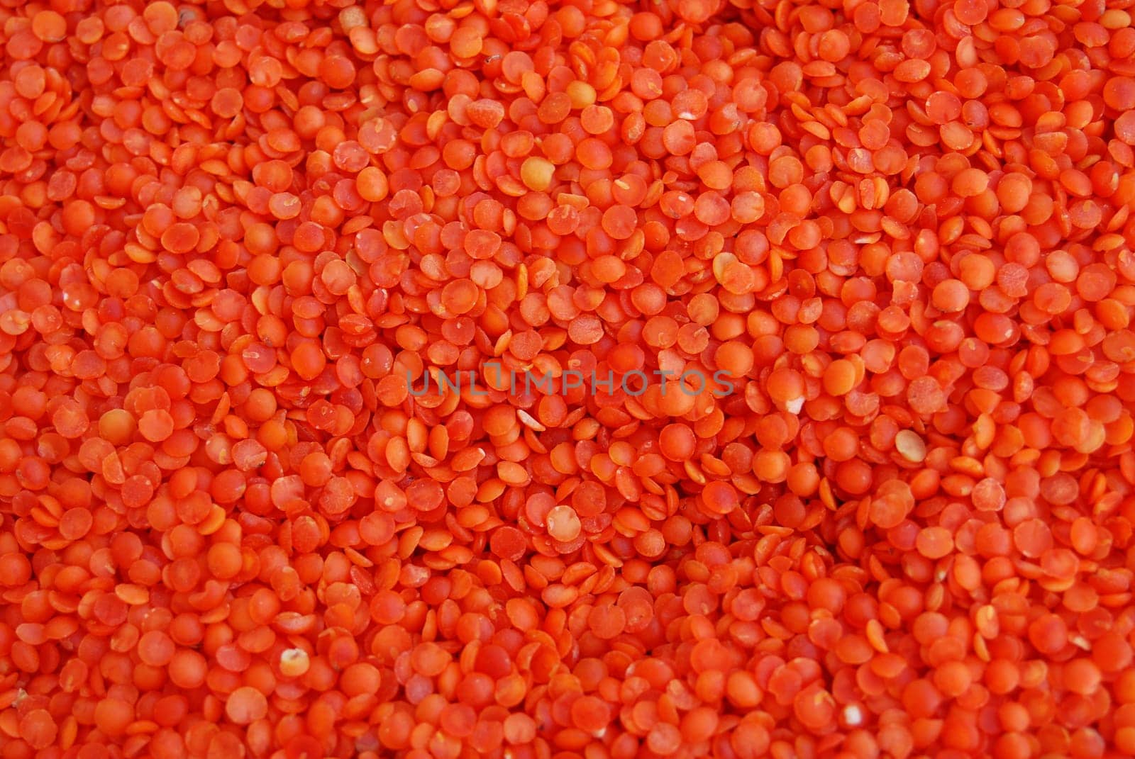Red lentils