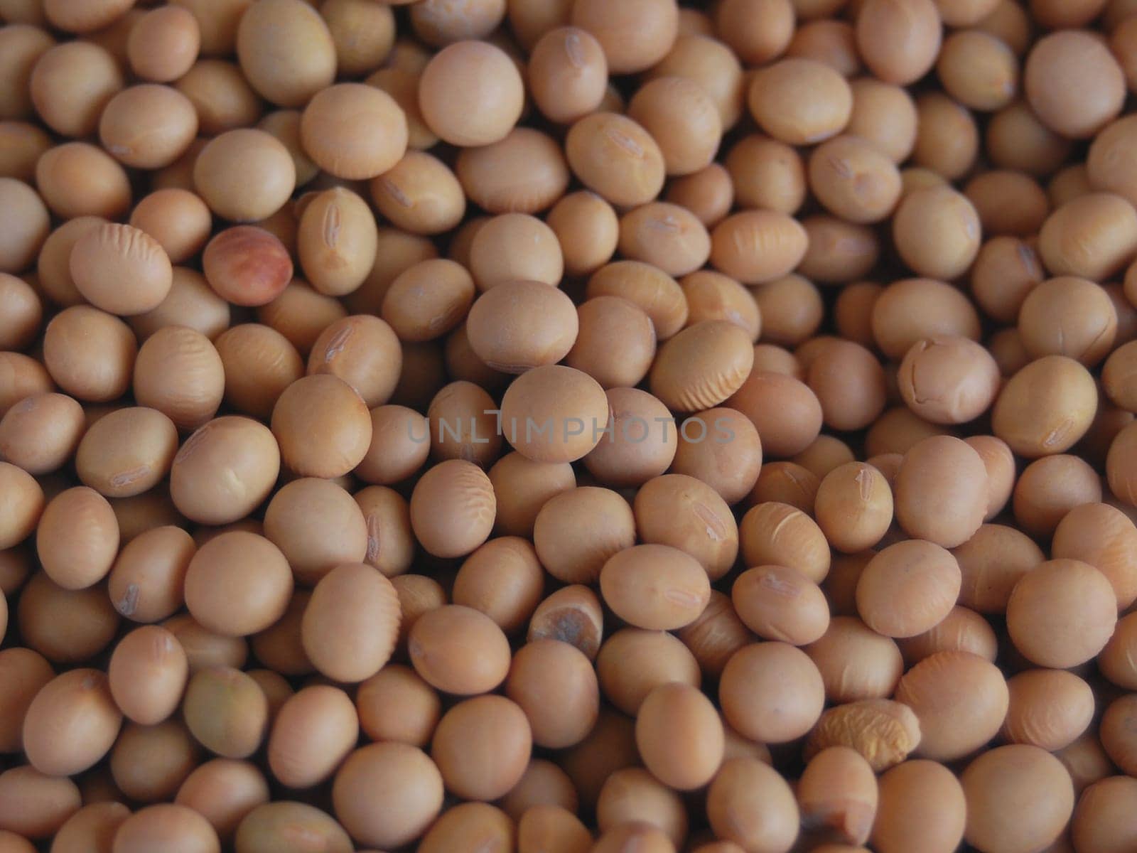 Soybeans