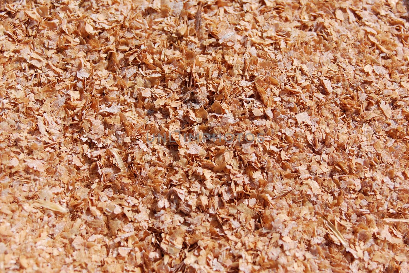 Grain scrap