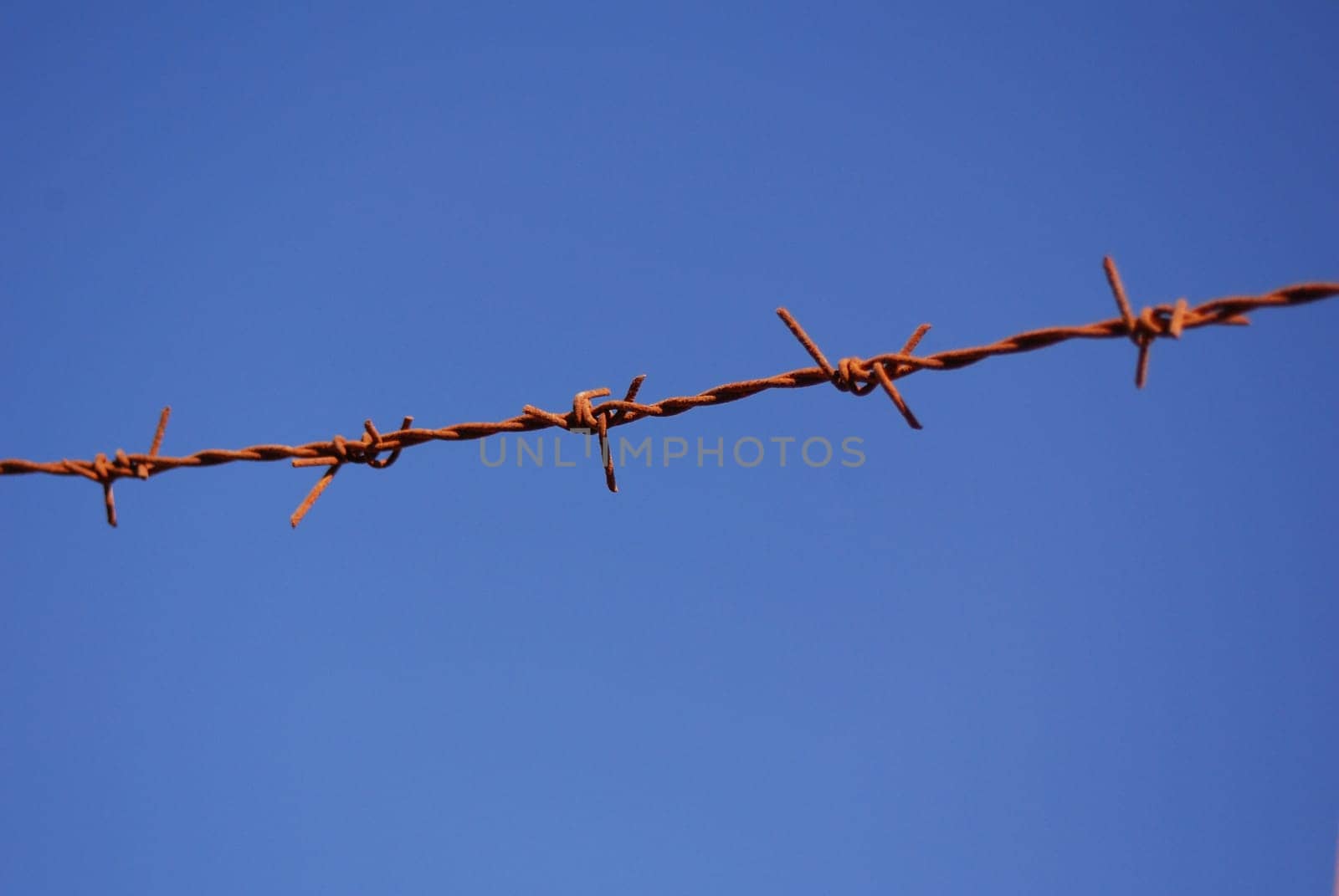 Barbed wire