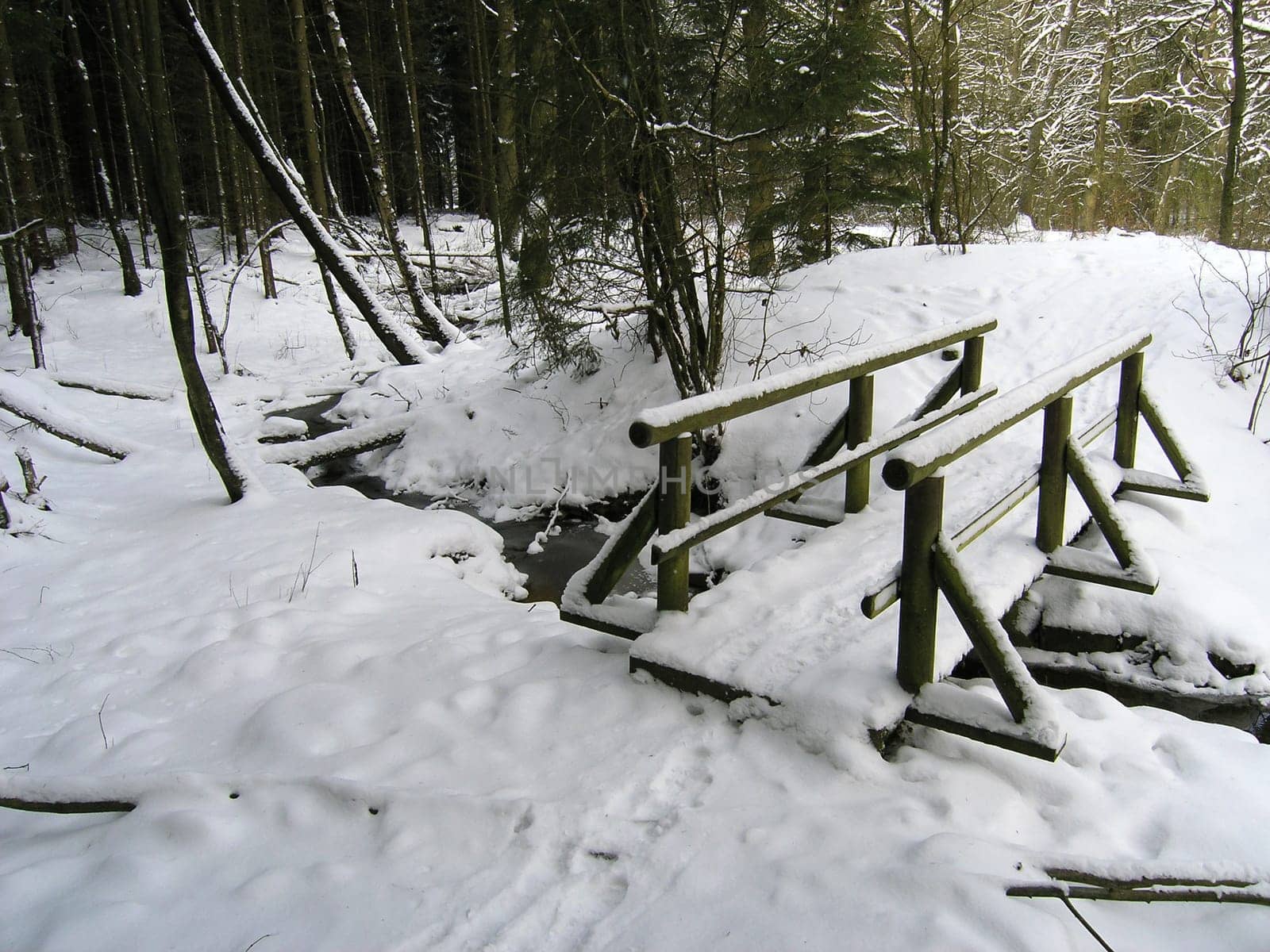 Brook in the snow