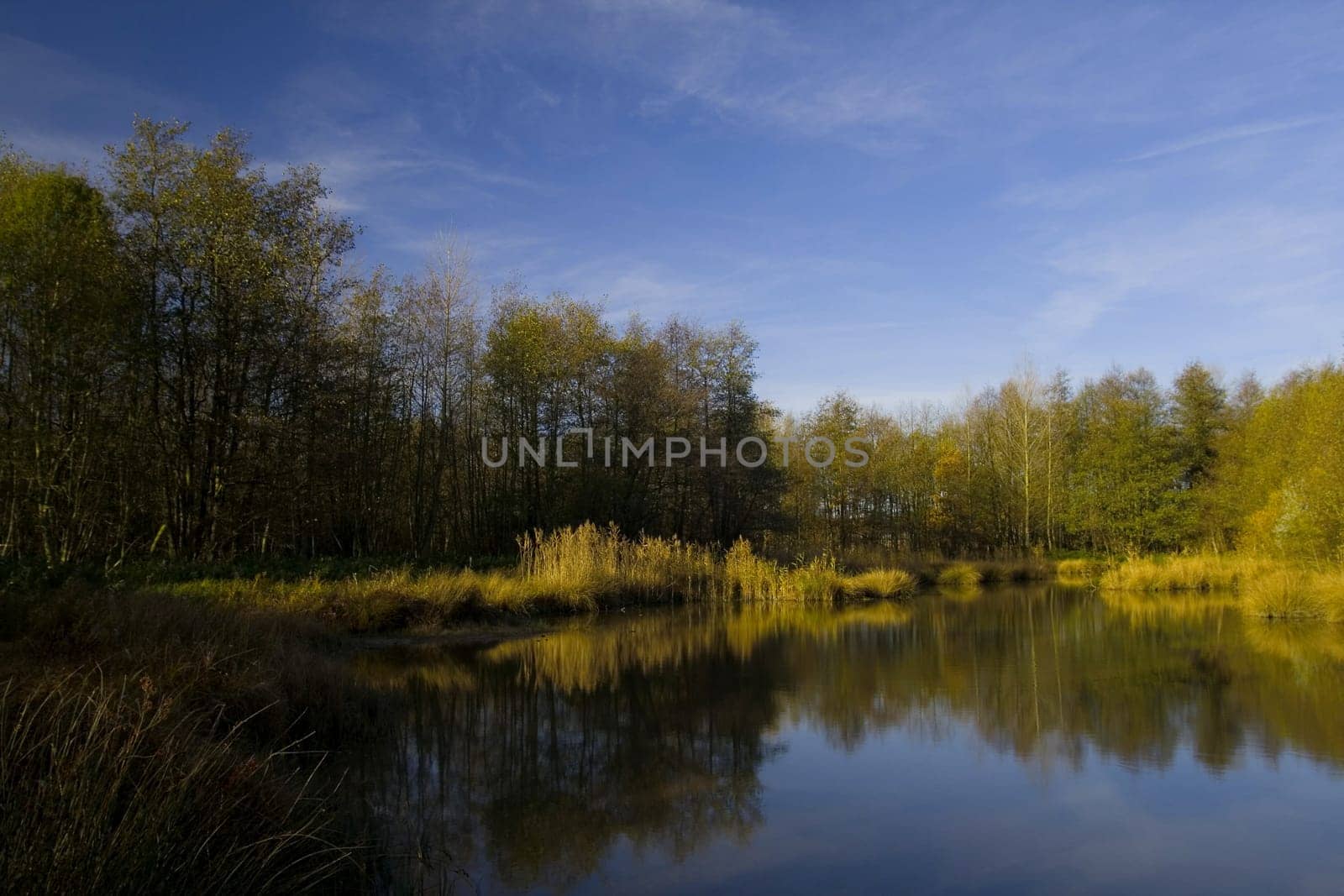 So that's the image,that's the original,converted to sRGB.