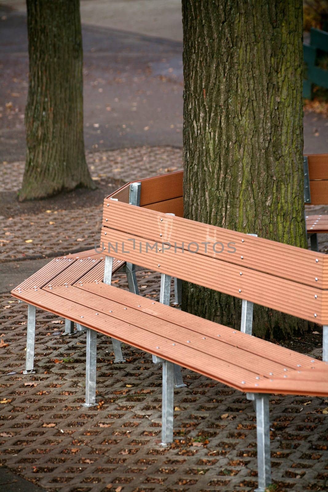 Seating around a tree