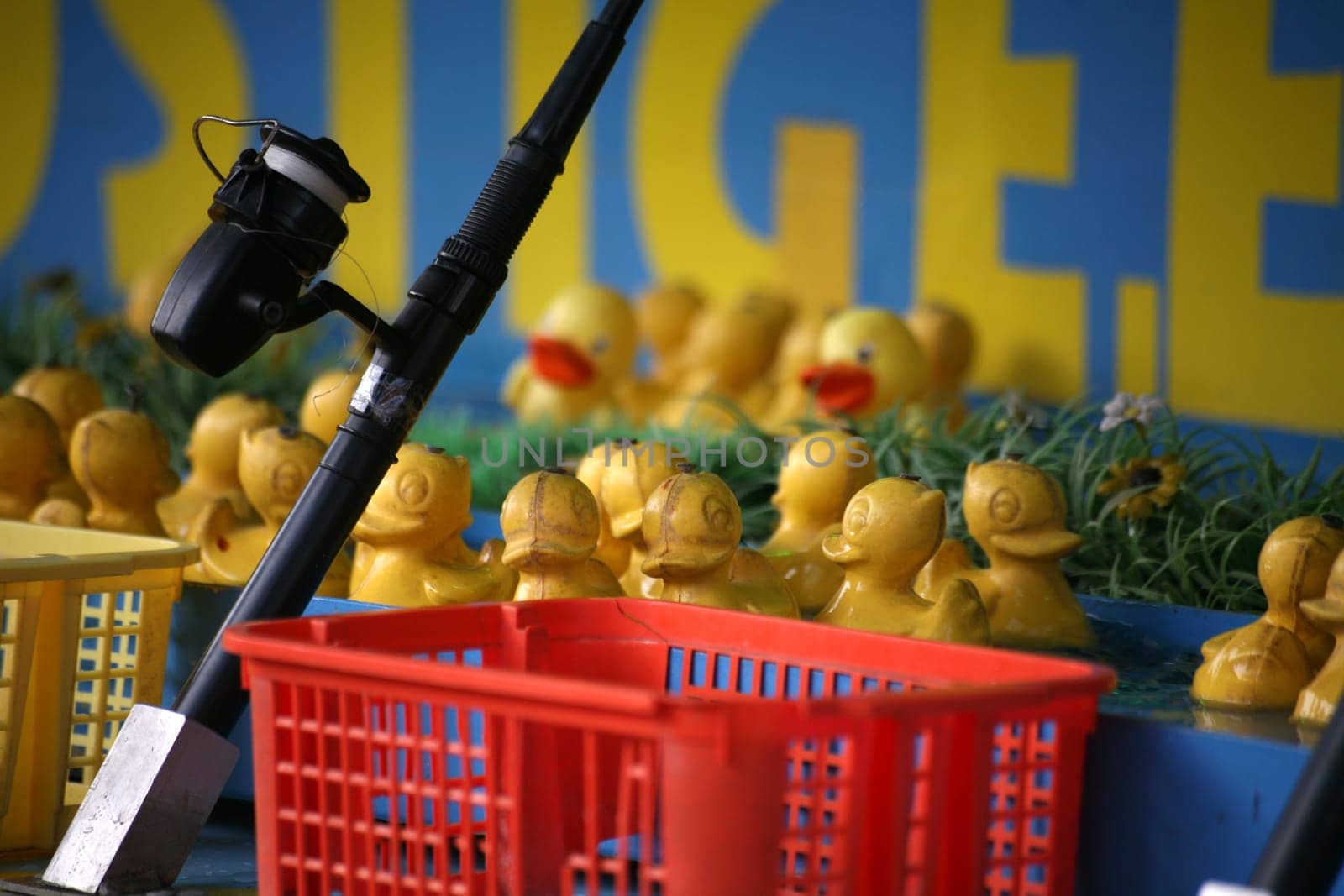 Duck fishing
