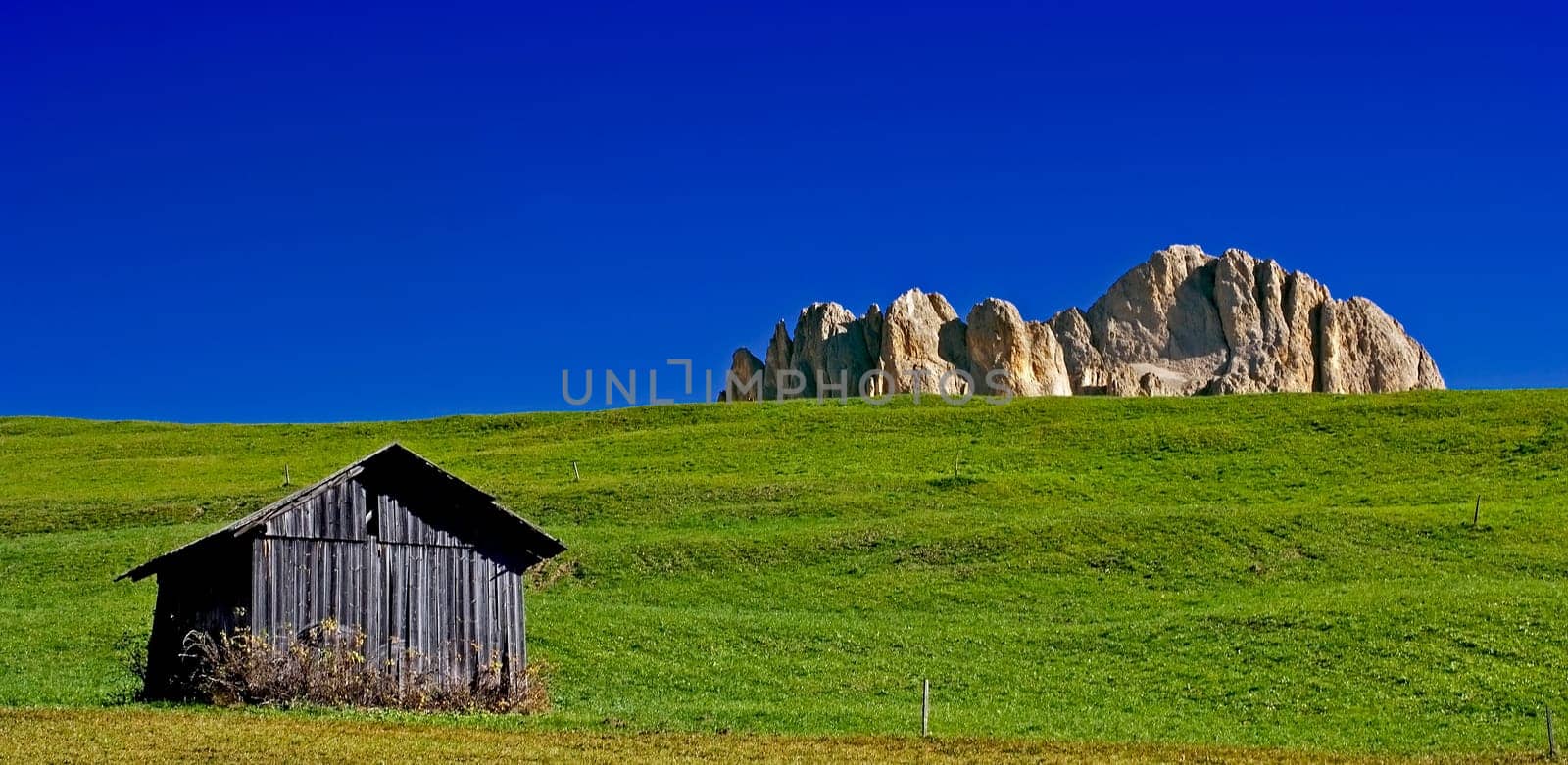 Alpine hut