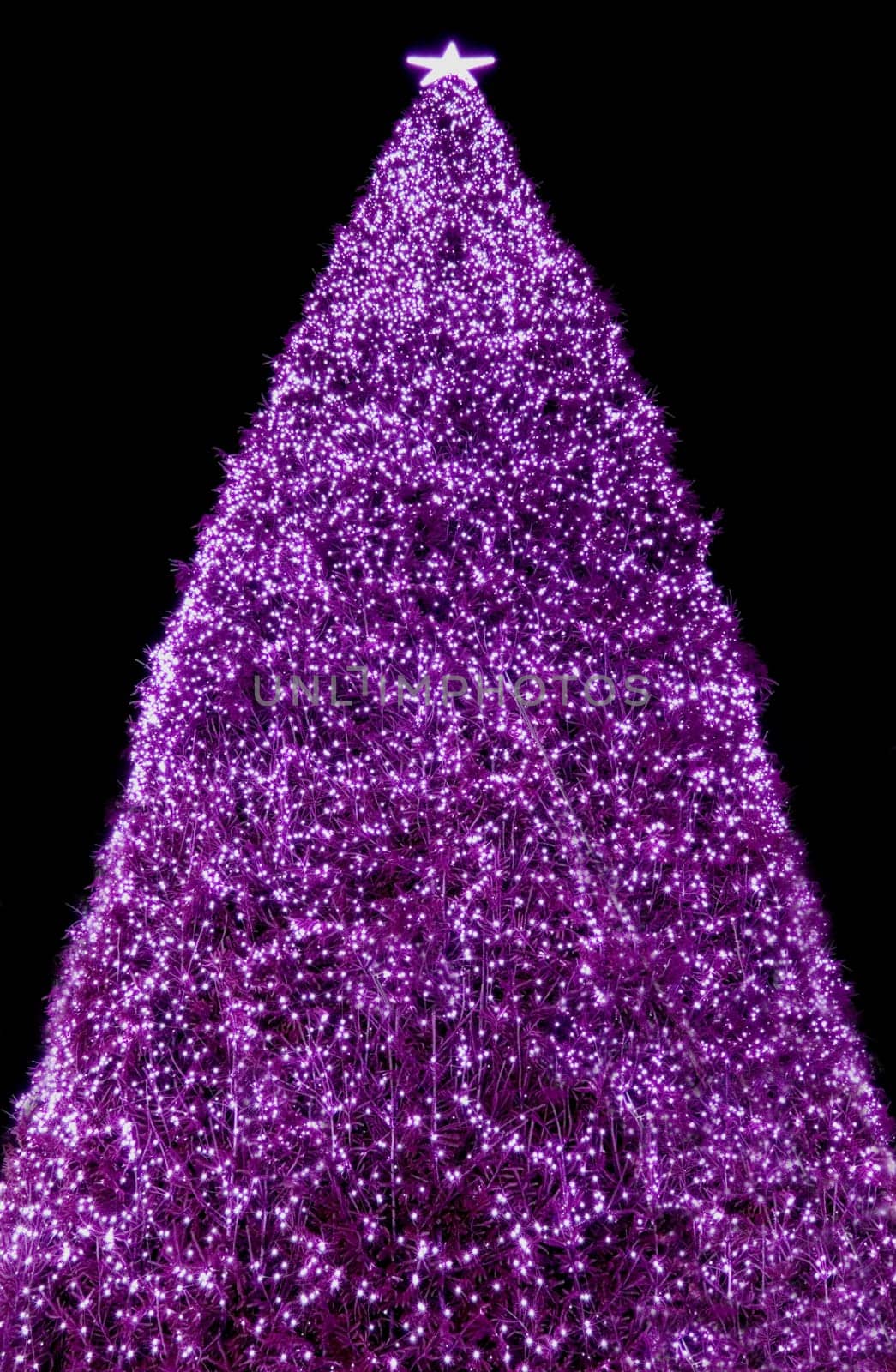 Isn't that a big tree! So that a little Christmas time moves in here again!!