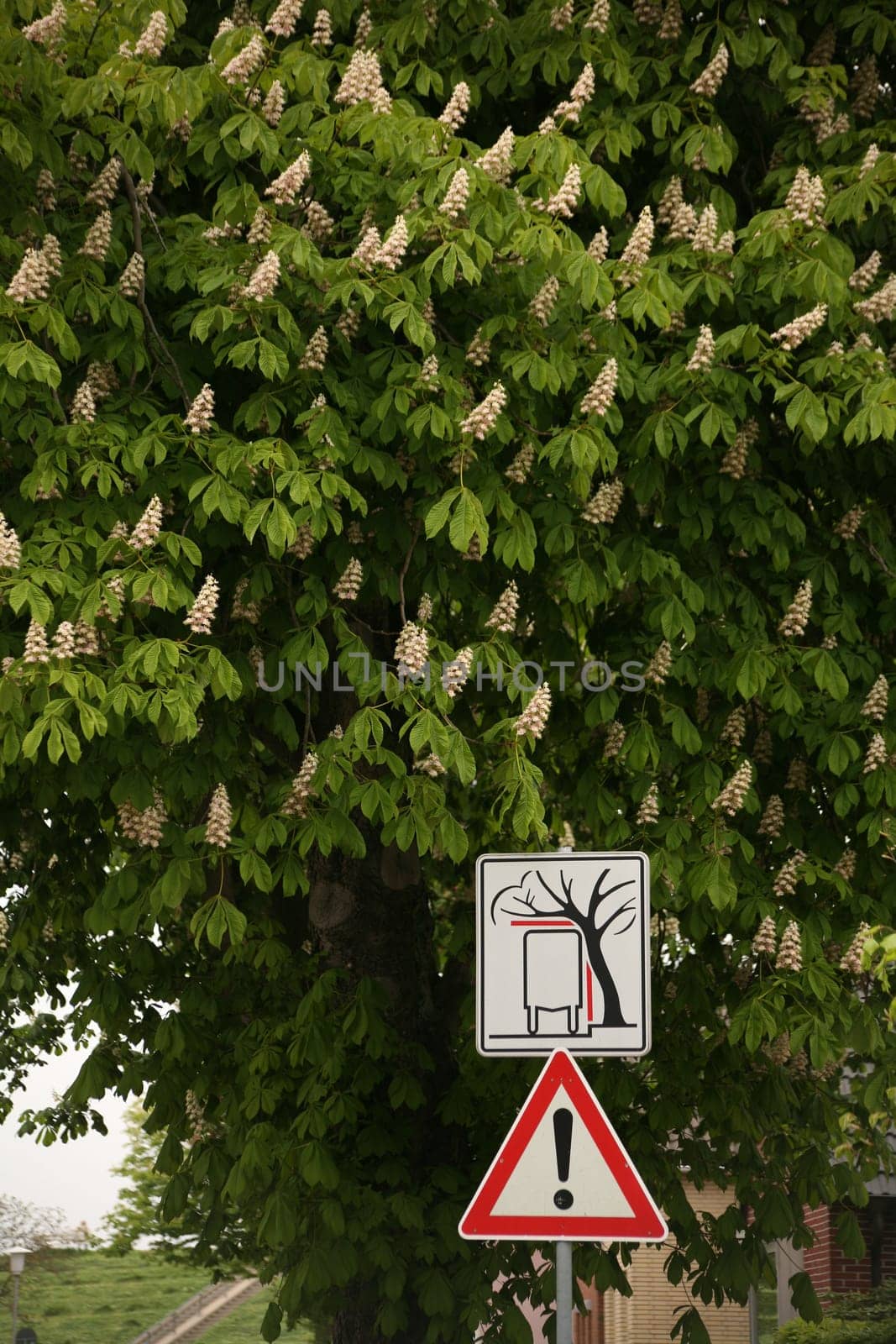 Traffic sign on an avenue