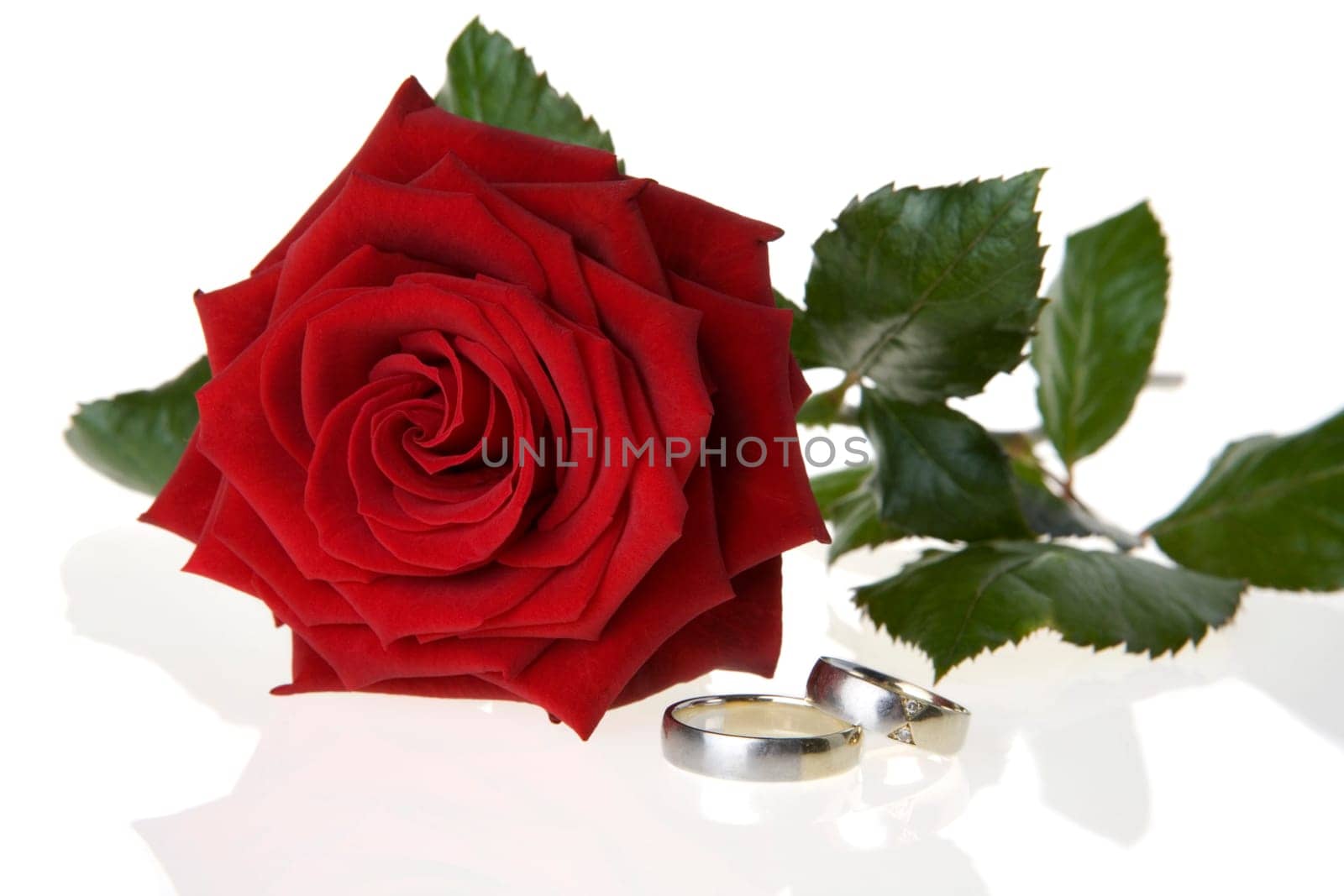 Rose Rings