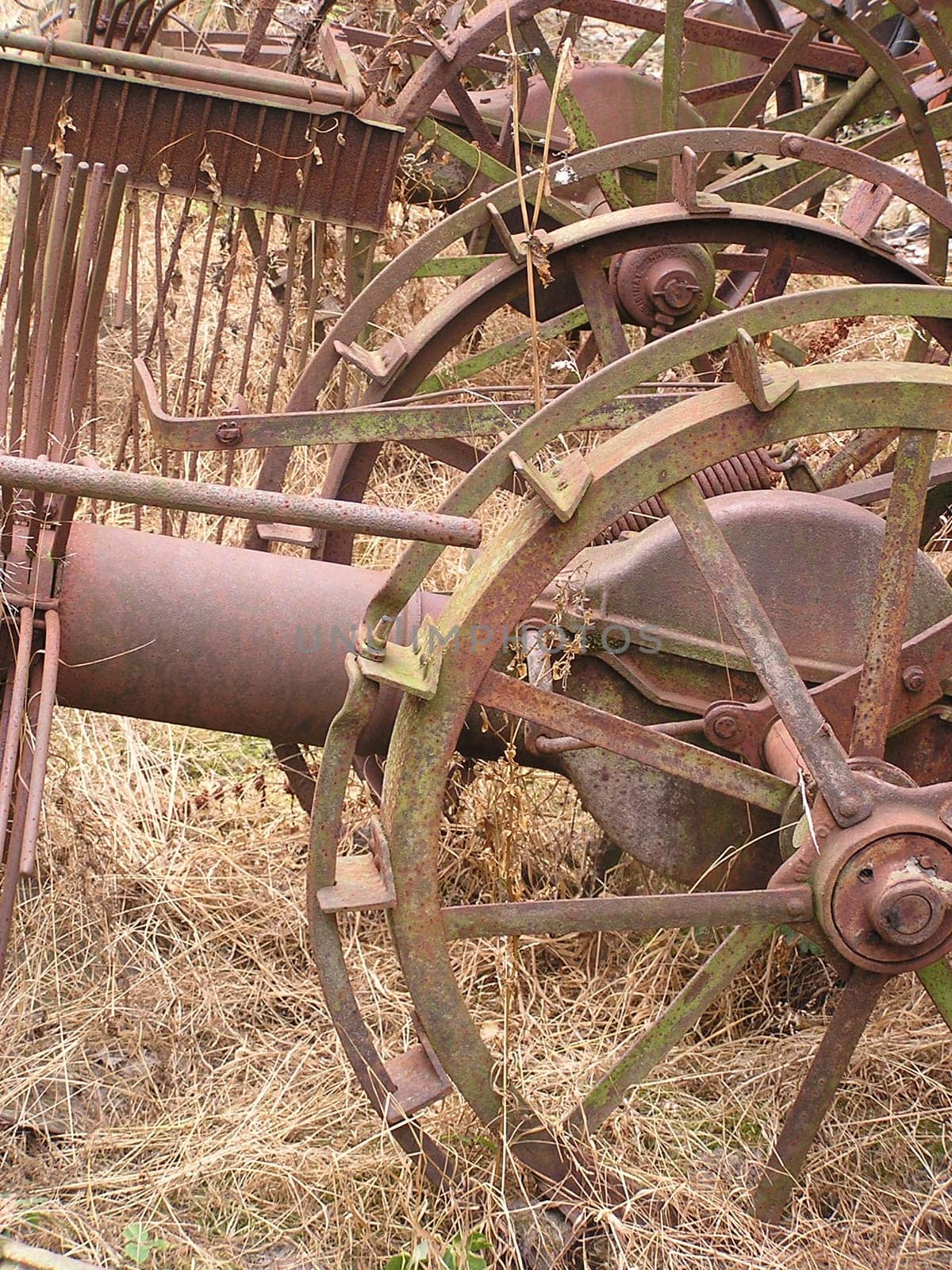 Agriculture