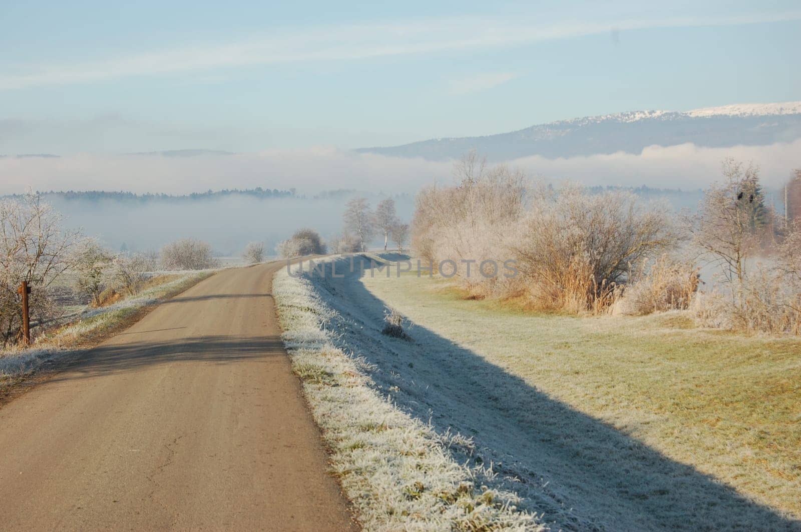 Morning walk with fog banks